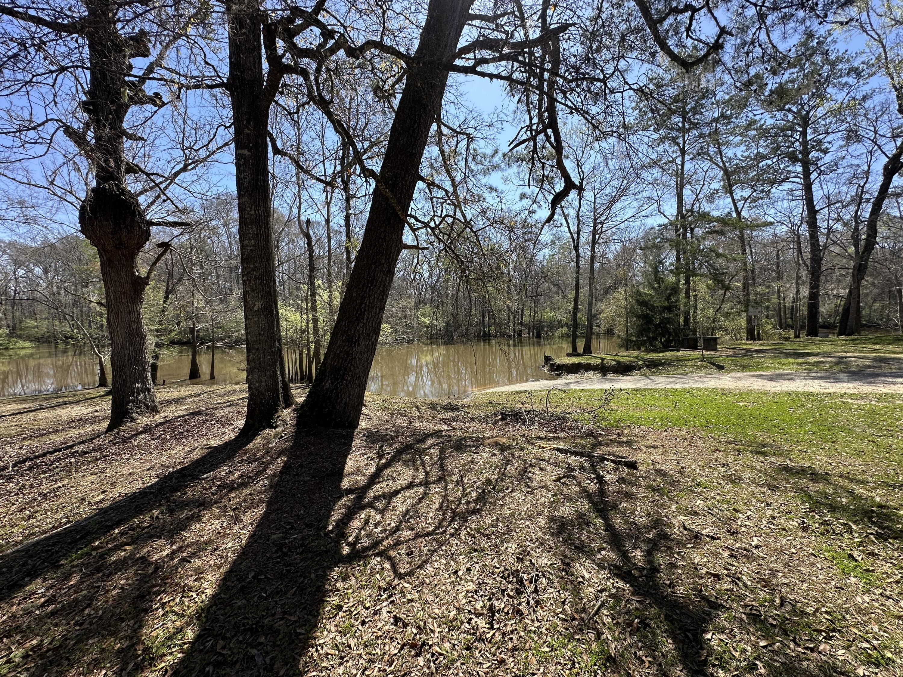 COON BOTTOM ESTATES - Land