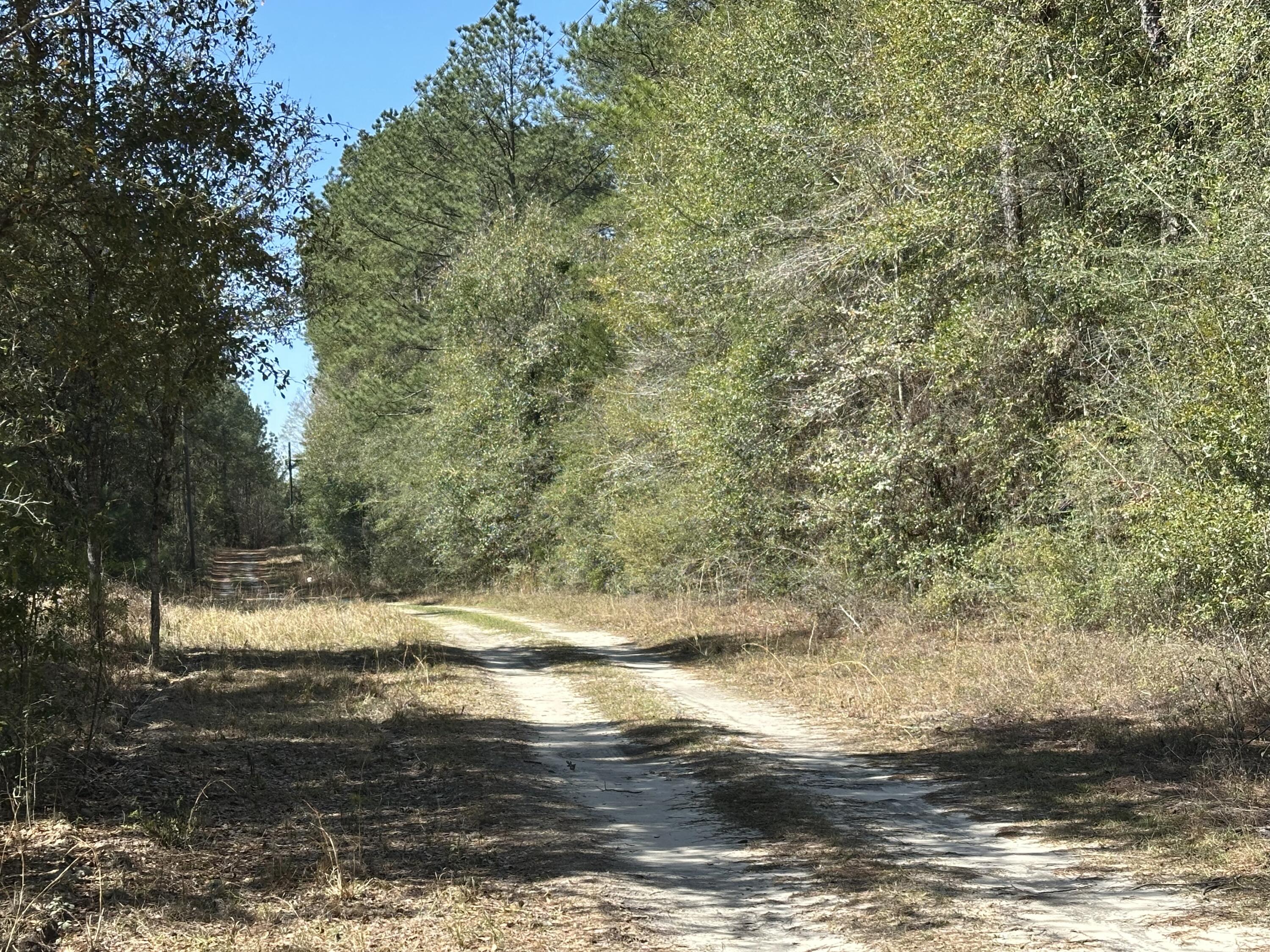 COON BOTTOM ESTATES - Land