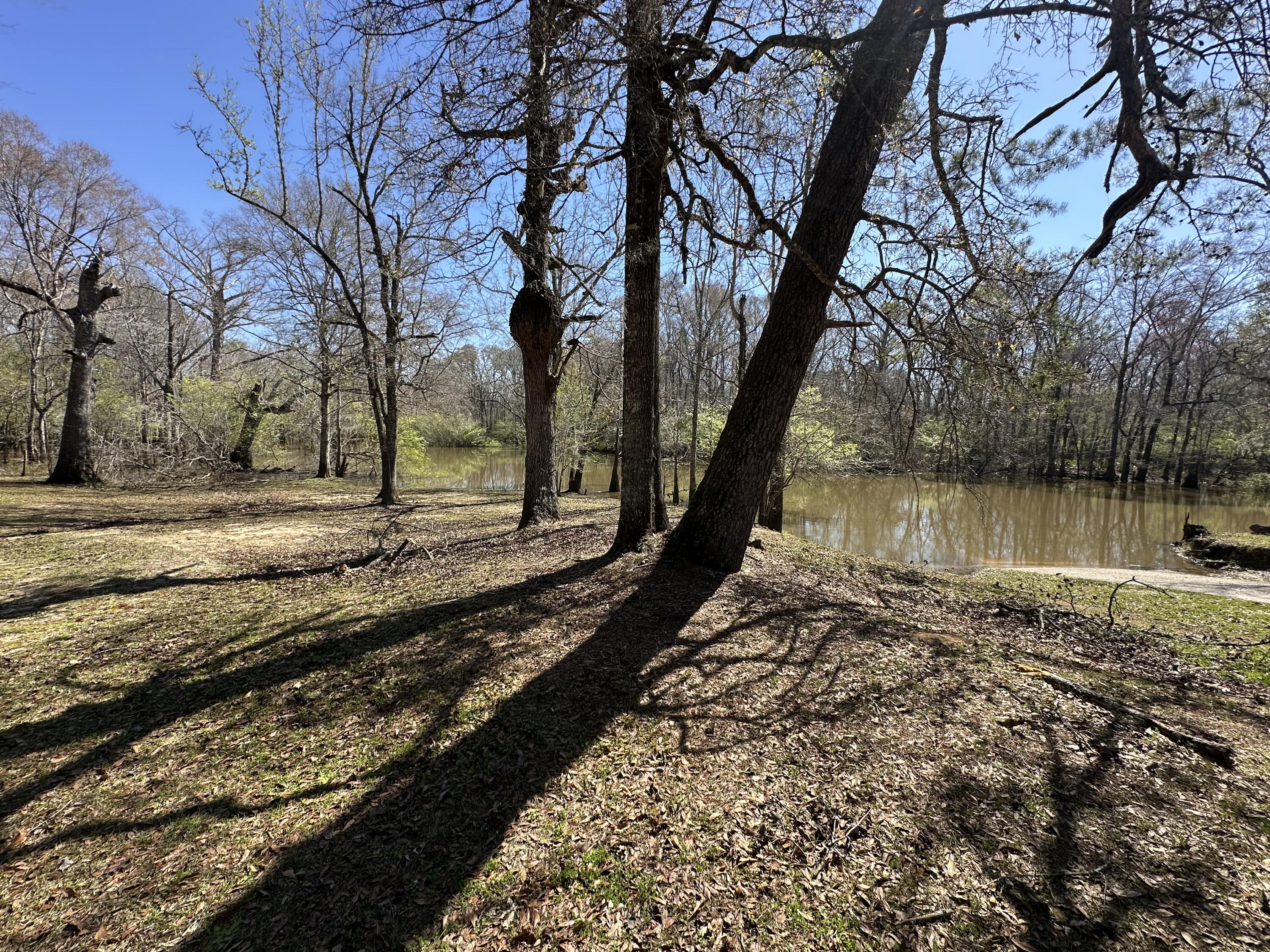COON BOTTOM ESTATES - Land