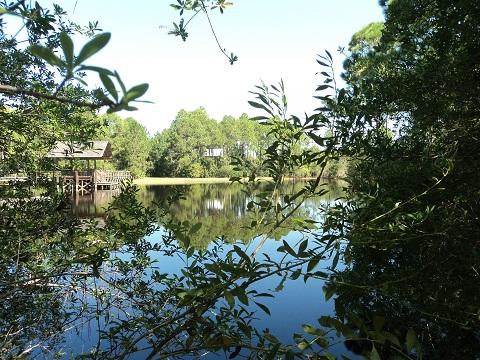 FOREST LAKES PH II - Land