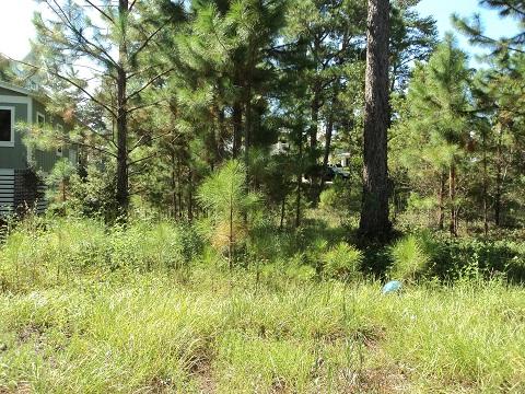 FOREST LAKES PH II - Land