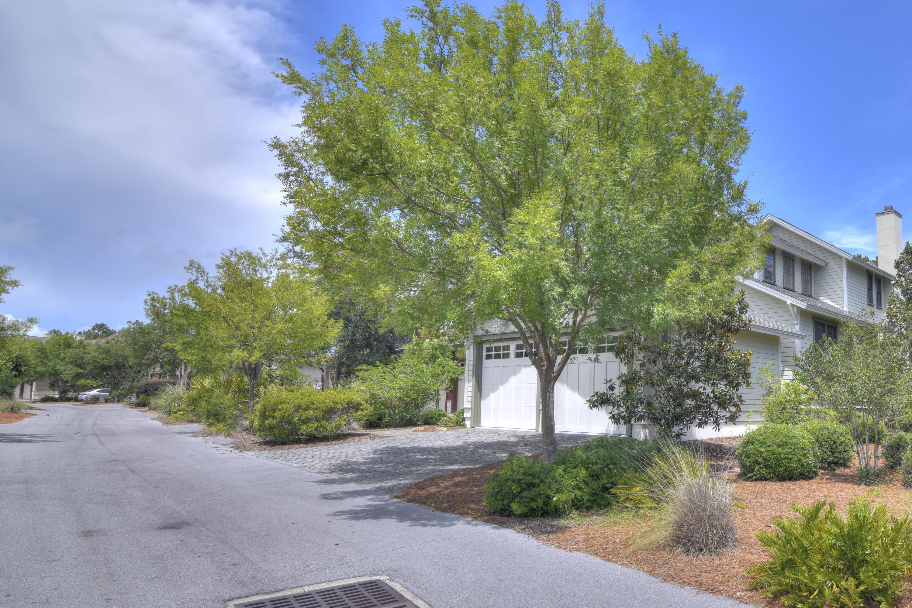 Wild Heron - Residential