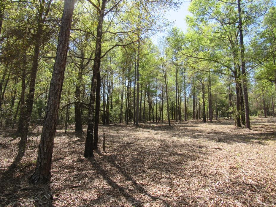 CLEAR CREEK FARMS 1ST ADDN - Land