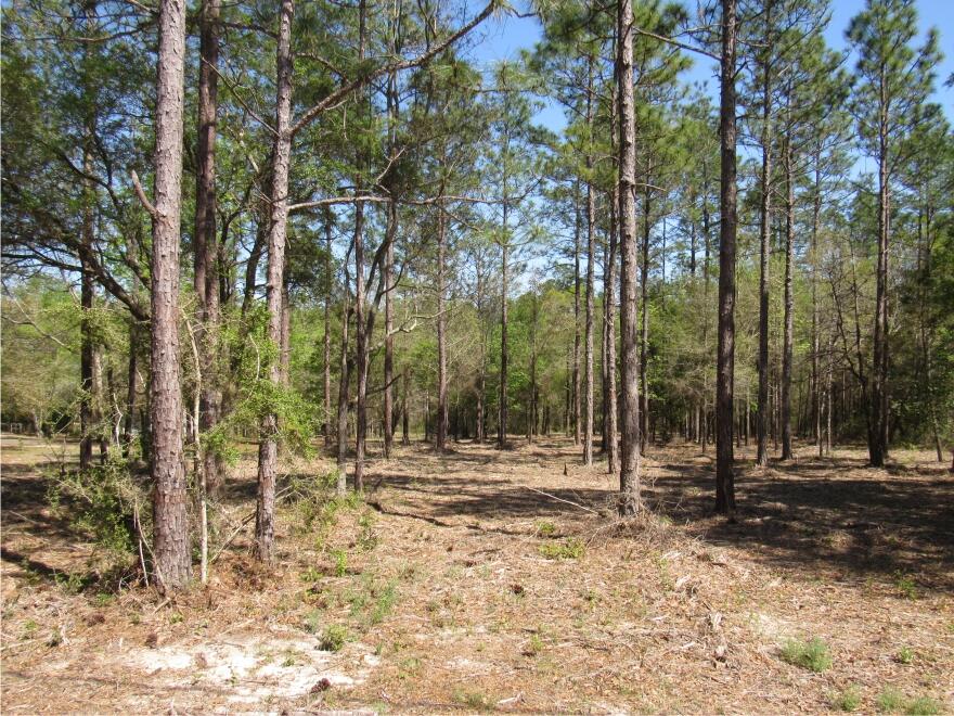 CLEAR CREEK FARMS 1ST ADDN - Land