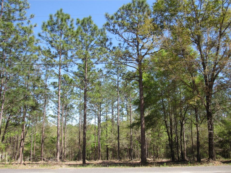 CLEAR CREEK FARMS 1ST ADDN - Land