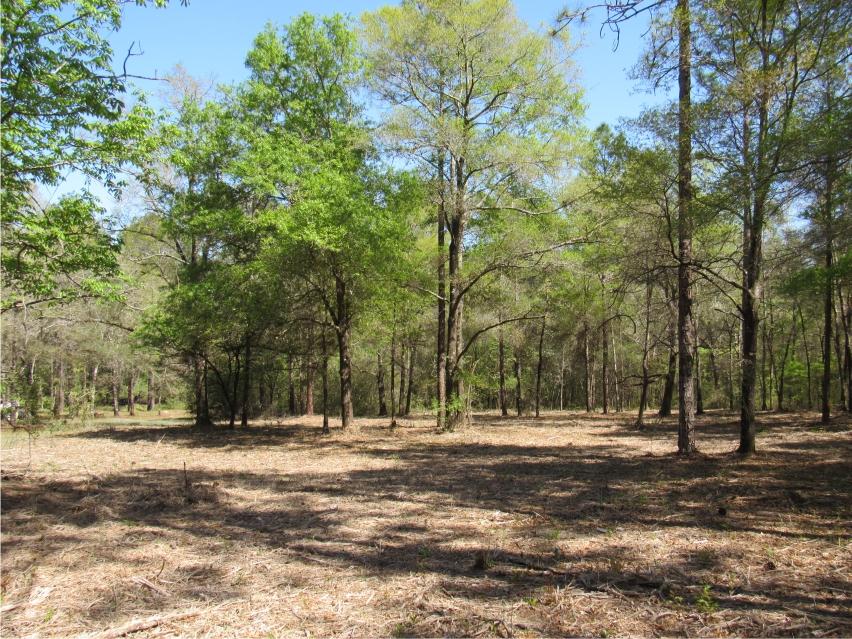 CLEAR CREEK FARMS 1ST ADDN - Land