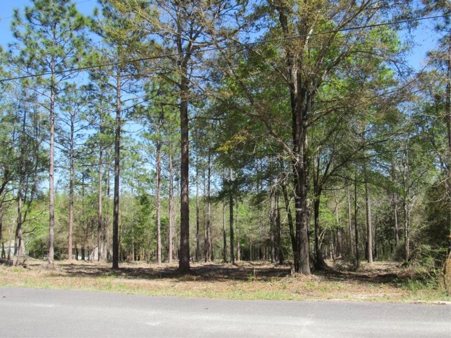 2.34 acres.     Stop wasting time making offers on multiple properties. Making offers way over asking price and still not getting your offers accepted.Build your Dream Home on this awesome Parcel. You get to control the deal. Know your exact price. Know your plans and features. Know your move-in date. Public Utilities and Paved Road to the property. Water, Electric may need tap fees to be paid. There are deed restrictions that determine minimum size and quality of build.The lot has been recently cleared of low brush.Approx. 125 ft. of Creek Front towards the rear of the property.