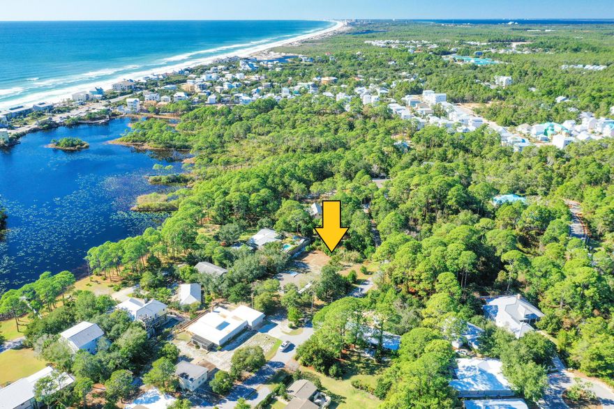 Your dream 30A home is waiting to be built on this .32 acre homesite. 111 Dolphin Drive is located on the west side of Allen Loop Dr. and within 1/2 mile of the Dune Allen public beach access. No HOA fees!