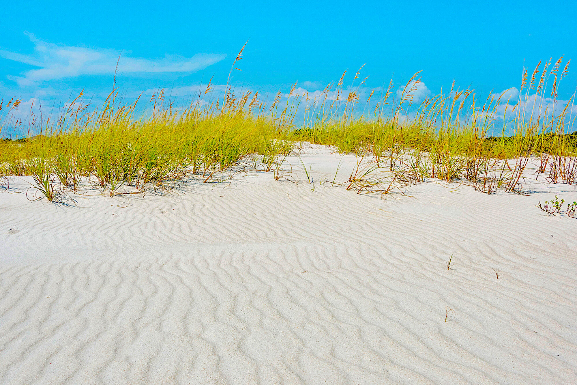 CYPRESS DUNES - Residential