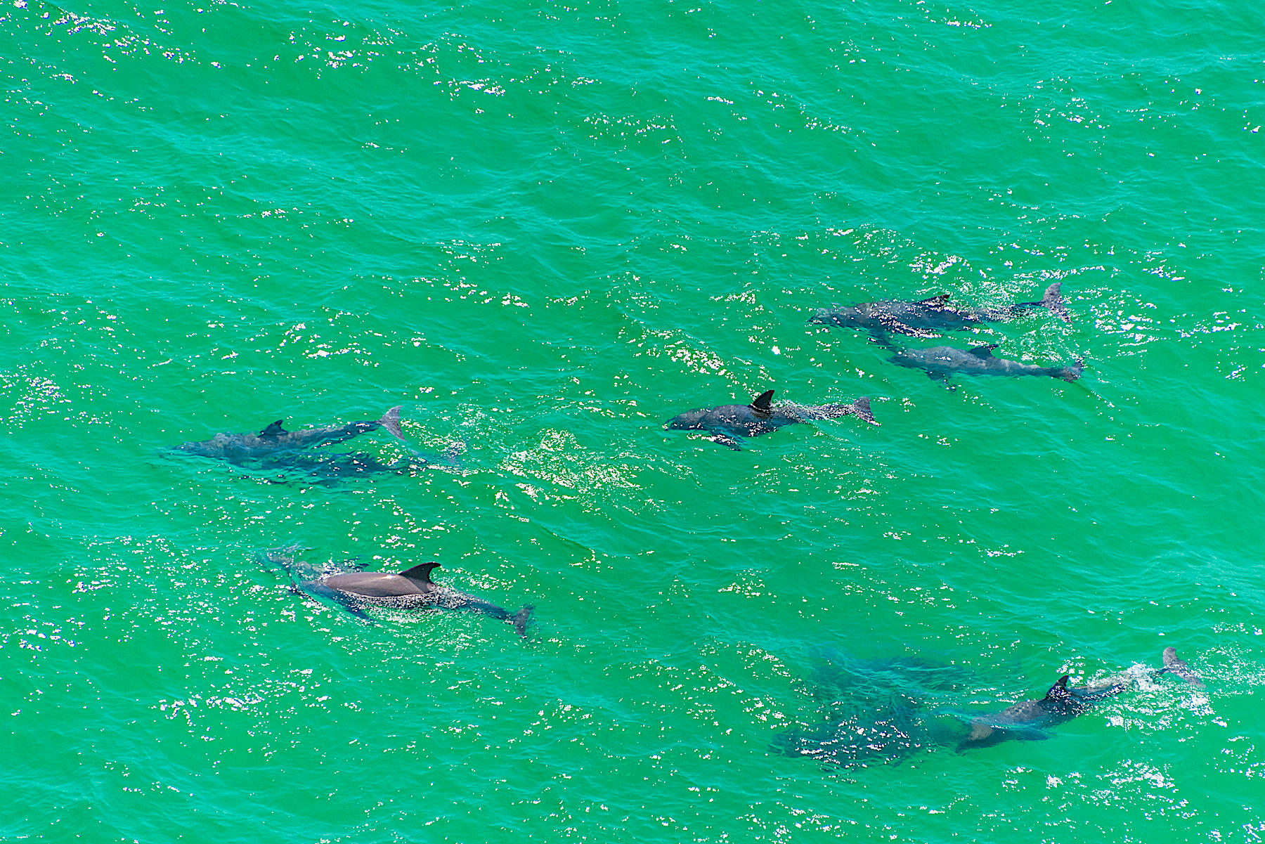 CYPRESS DUNES - Residential