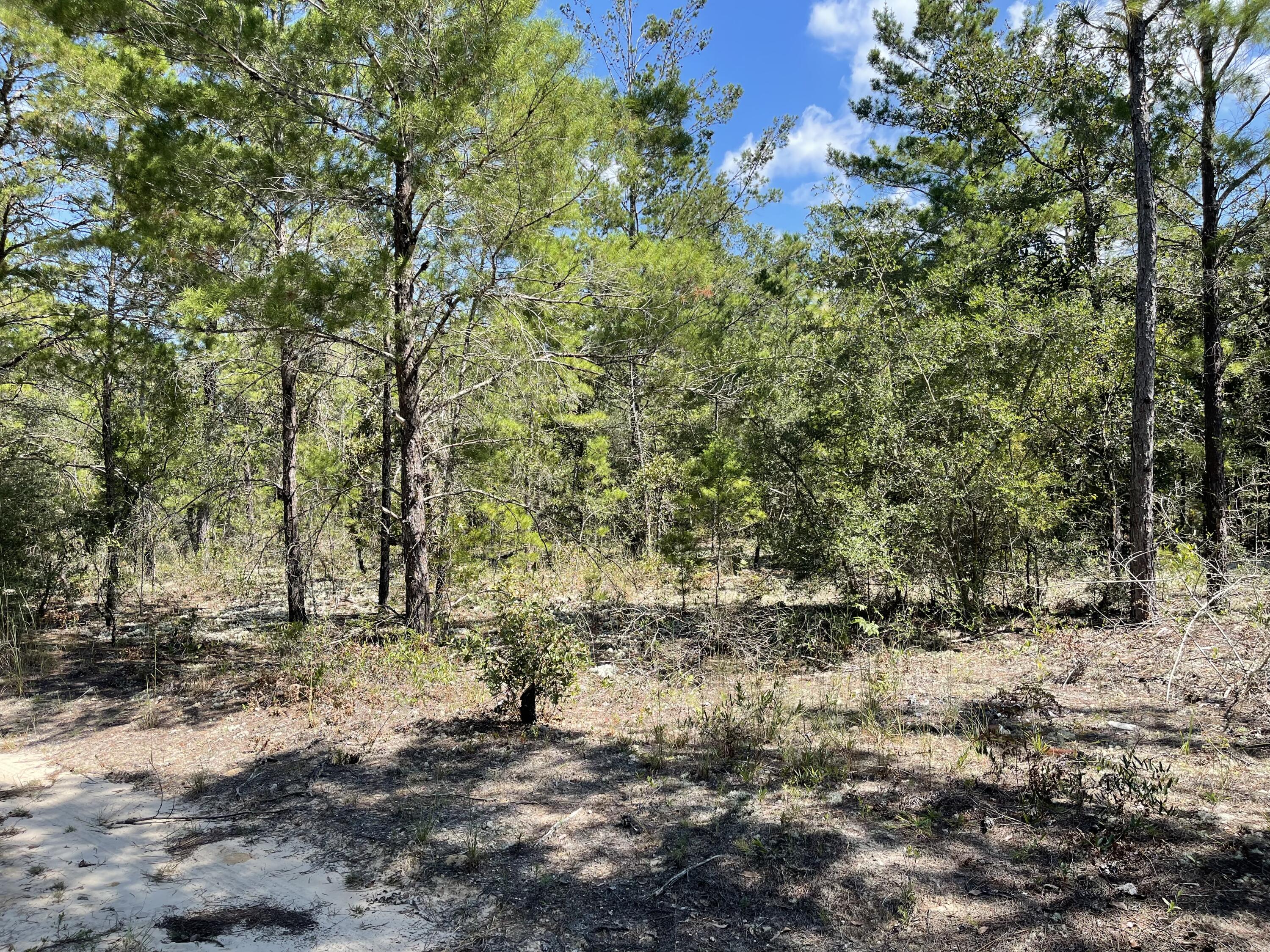 High Dry, Beautifully wood lot in the country making up approx .23 acres between DeFuniak Springs FL and Mossyhead. Modular homes allowed. No HOA. Minimal Restrictions. There are no existing utilities. Well/Power/Septic required. Property is Flood Zone X. Per the Walton GIS mapping, the property does not appear to have wetlands. Buyer needs to verify building codes, zoning regulations, wetlands and flood zones, etc with proper local authorities to ensure buyer will be able to utilize the property for intended use.Easy access to the I-10 & CR 285 south making it a great location for work no matter what direction you need to go! You will be approx. 30-45 mins to most workplaces as well as the beautiful white sandy beaches of Florida famous Emerald Gulf Coast and Crab Island. Information contained within this listing is deemed to be accurate but is not guaranteed.
All dimensions shown are approximately only per CRS Property Data Report. A Survey must be completed to confirm property lines and dimensions.