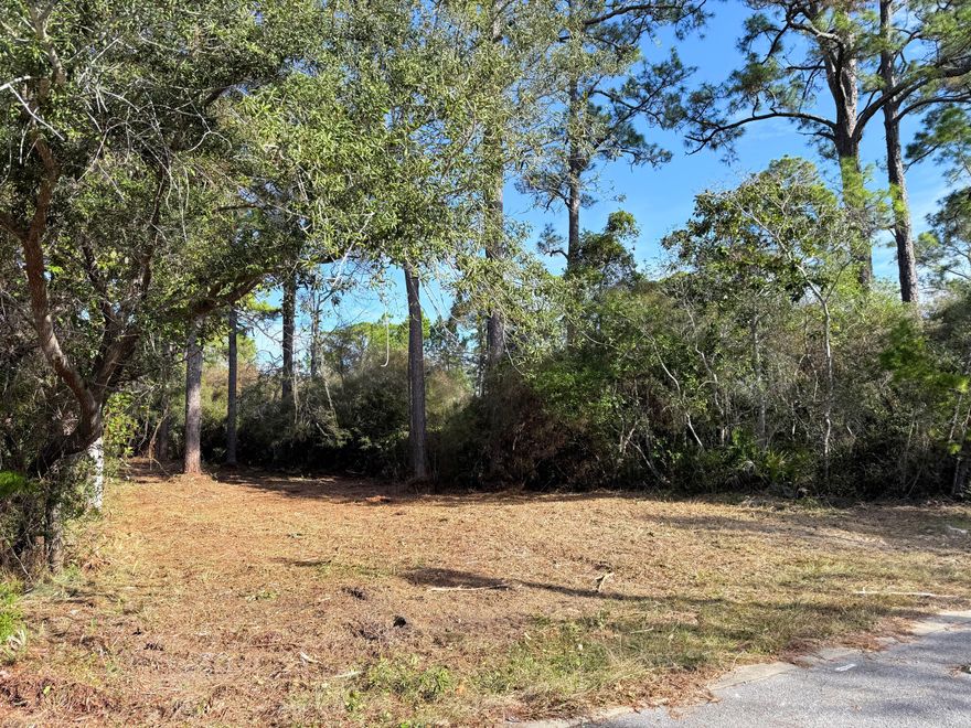 Build your dream coastal retreat on this prime vacant lot in the high-demand Point Washington area. Located just 3.5 miles from Grayton Beach, this property offers the perfect balance of seclusion and accessibility, buffered by scenic state forest.Key Property Features:Prime Location: Steps from a public boat ramp and a bay-front park with a kayak launch.Ready to Build: Paved street access in a growing neighborhood of charming Florida Cottages.Freedom: No HOA, no monthly dues, and no build-out time requirements.Whether you're looking for a primary residence or a vacation retreat near 30A, this home-site is a rare find. Enjoy the best of Florida's Gulf Coast lifestyle without the heavy restrictions.