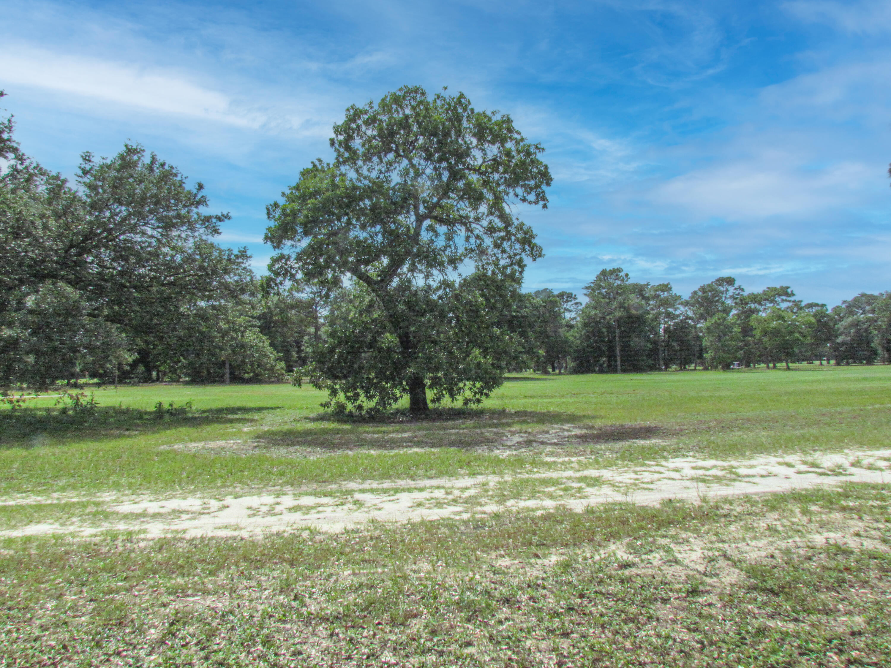 Have you dreamed of living in a GOLF COMMUNITY with no HOA? This lot is for you... Vacant wooded lot just waiting for you to build your dream home! With 100' width and 150' depth, it has plenty of space for anything you desire!Sit on your back porch and watch the golfers (good or bad) drive the ball down the fairway knowing that your Tee time could be just minutes away! Immerse yourself in the GOLF and GULF OF MEXICO LIFESTYLE!! Don't shoot a DOUBLE BOGEY and miss out on this deal! Schedule a showing now...Please contact listing agents for your easy showing today! - Mark Bryan 850-449-6731 or Paige Bryan 850-449-6730.