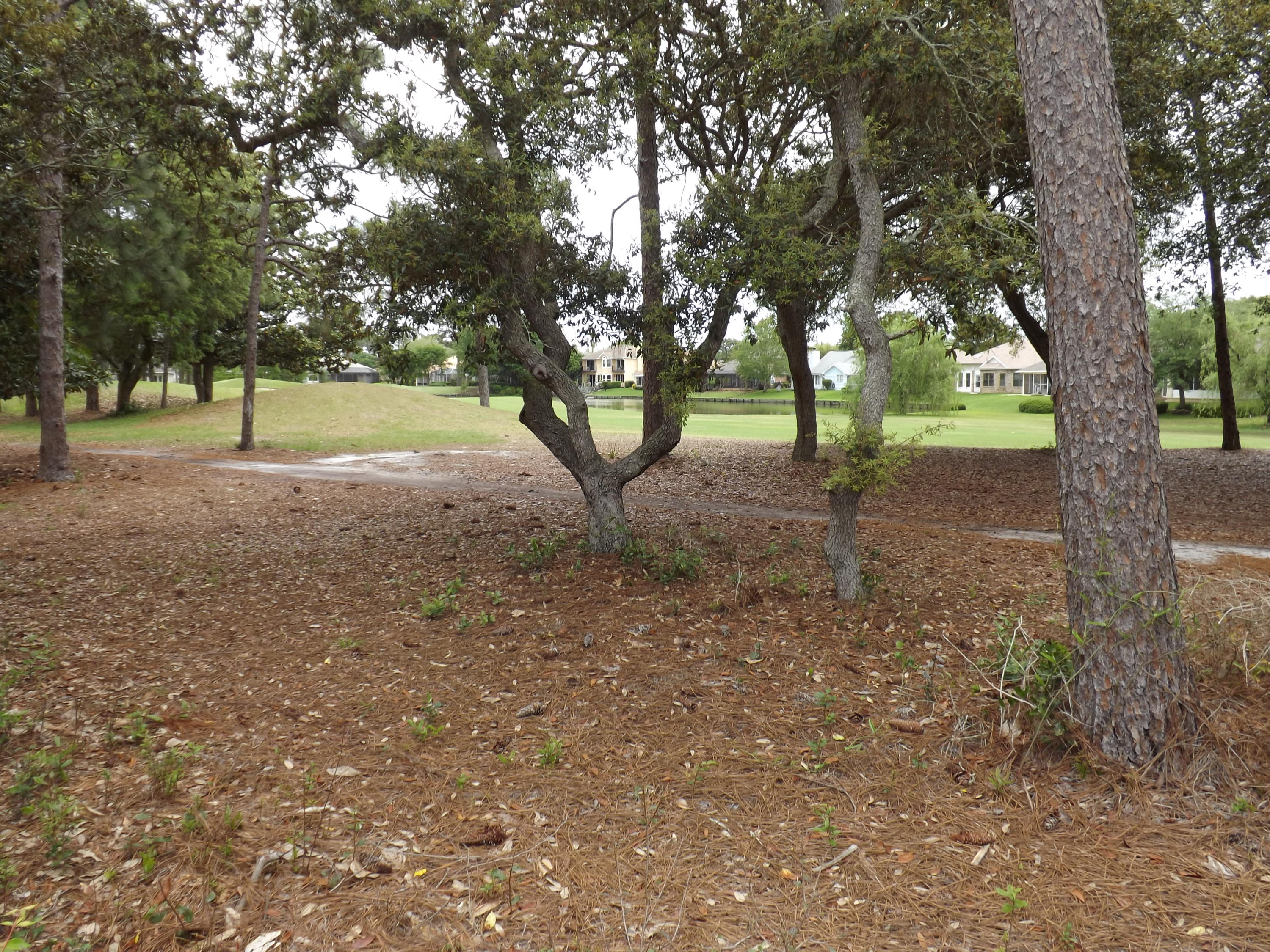 LAKE LORRAINE ESTATES 3 - Residential