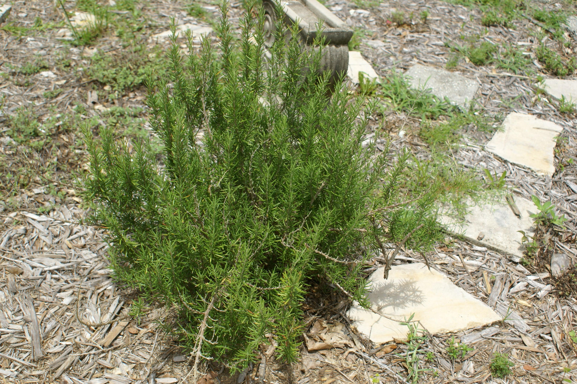 PORTER REPLAT OF 1ST ADDN - Residential