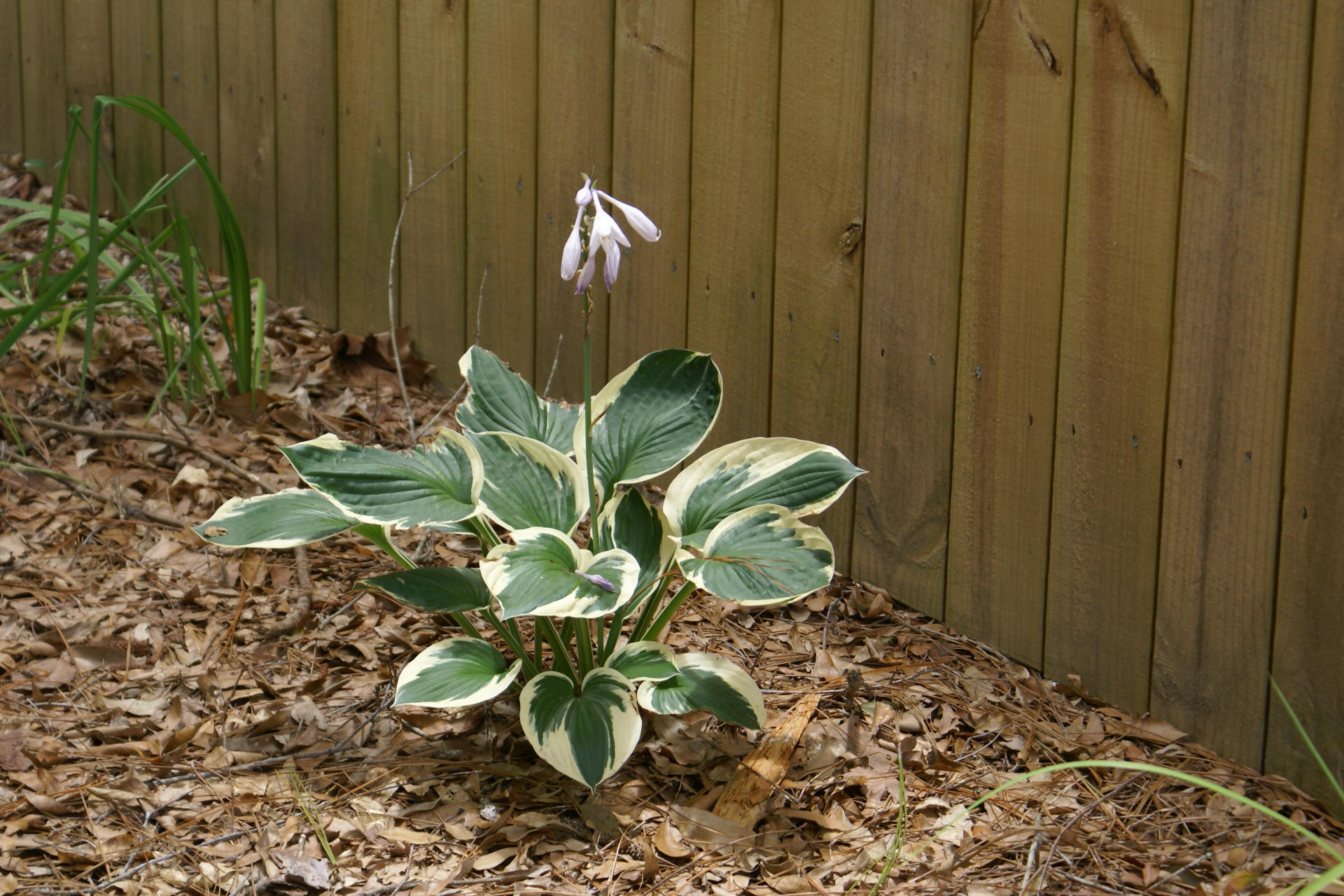 PORTER REPLAT OF 1ST ADDN - Residential