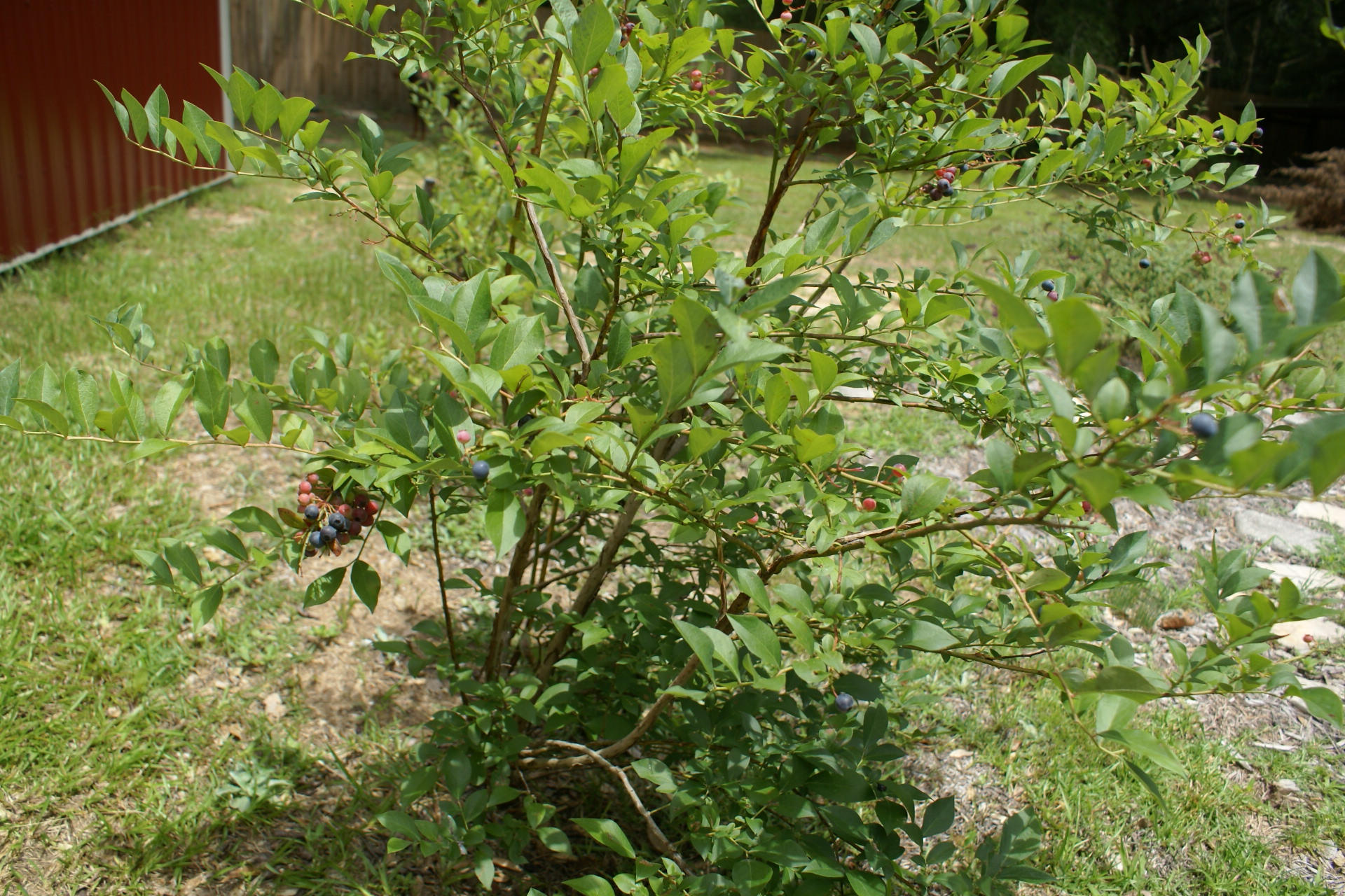 PORTER REPLAT OF 1ST ADDN - Residential