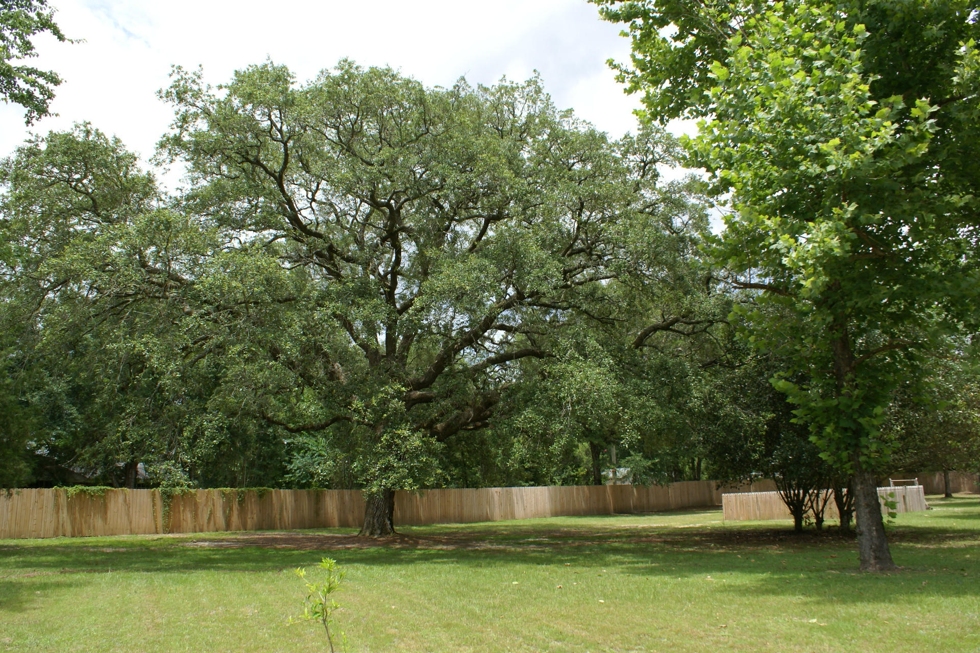 PORTER REPLAT OF 1ST ADDN - Residential