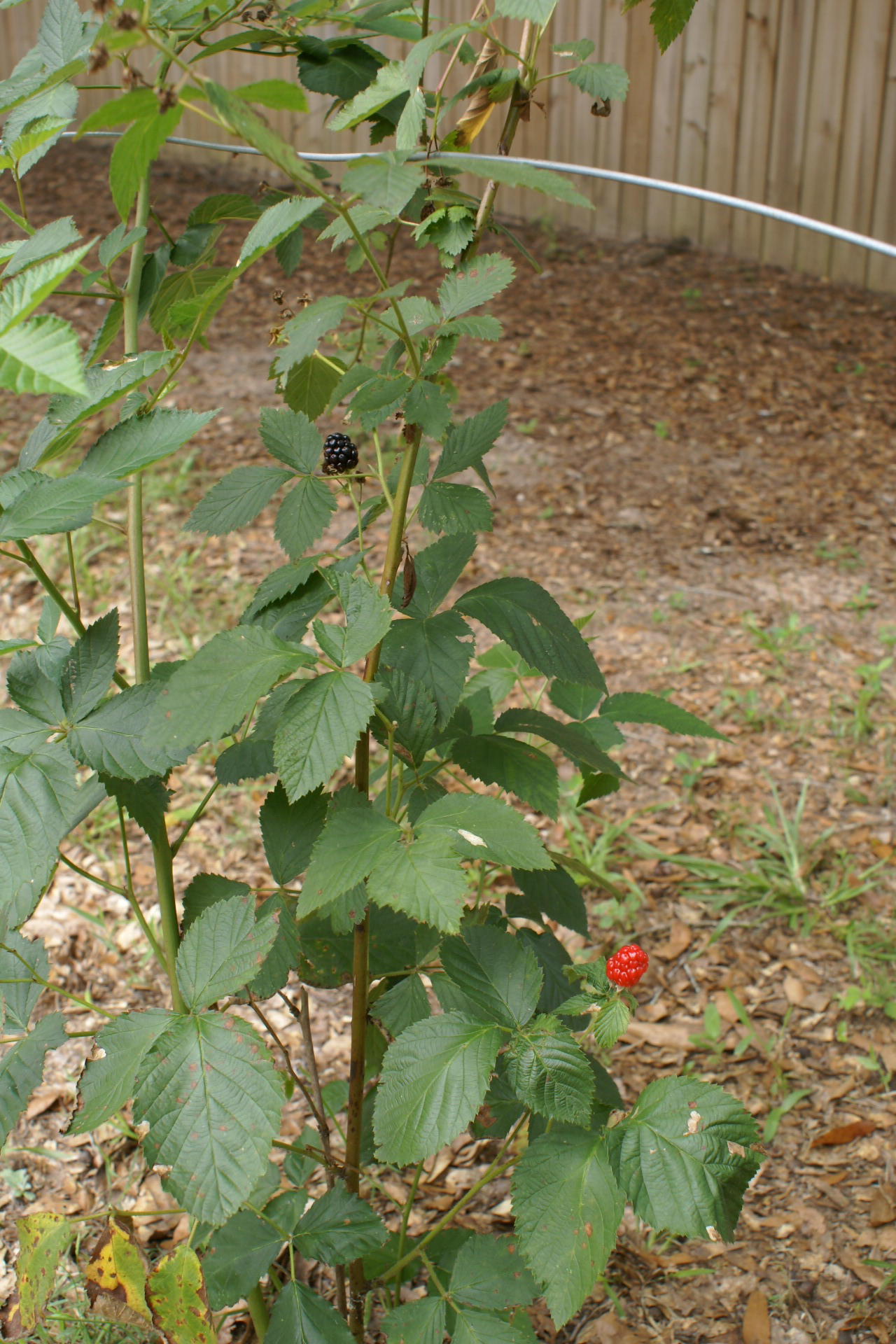 PORTER REPLAT OF 1ST ADDN - Residential