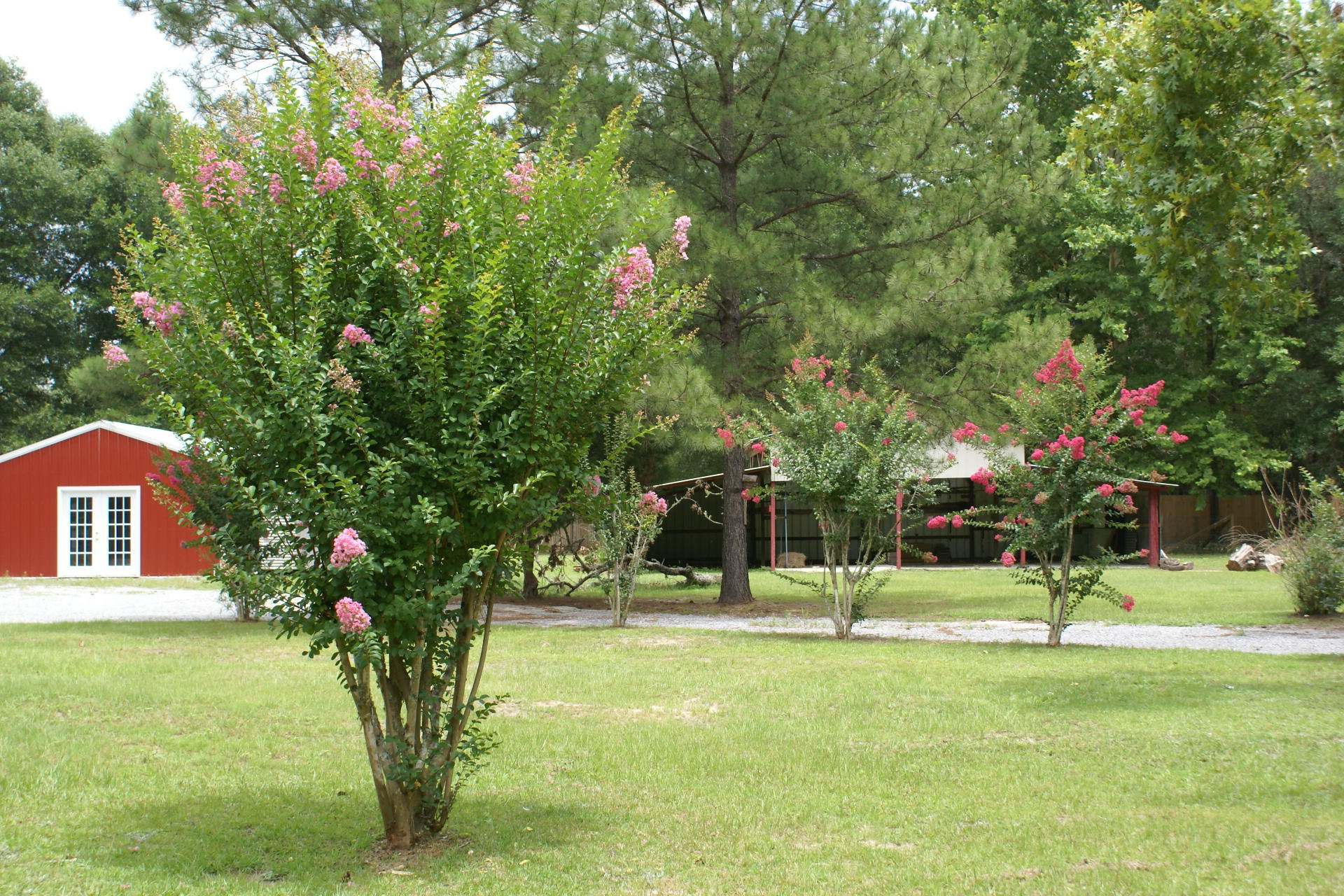 PORTER REPLAT OF 1ST ADDN - Residential