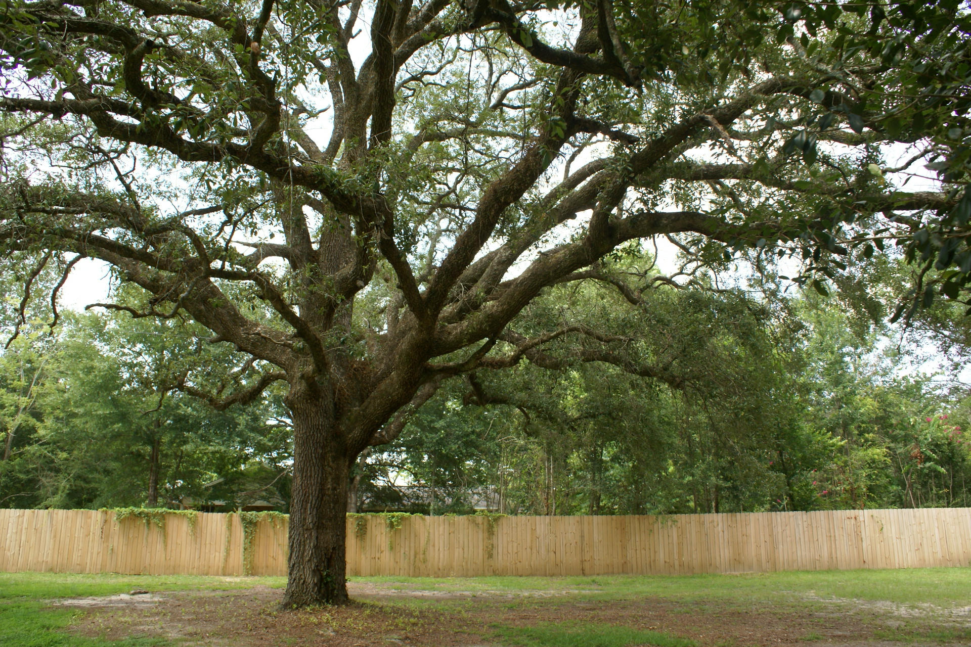 PORTER REPLAT OF 1ST ADDN - Residential