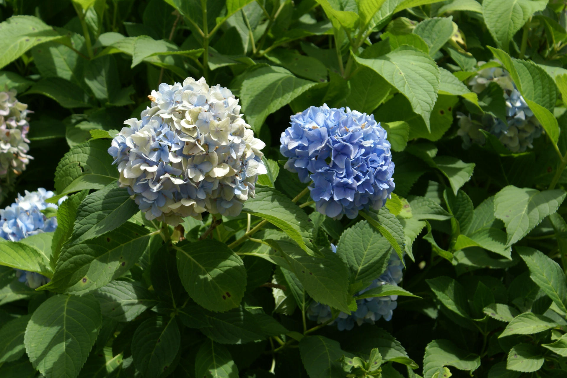 PORTER REPLAT OF 1ST ADDN - Residential