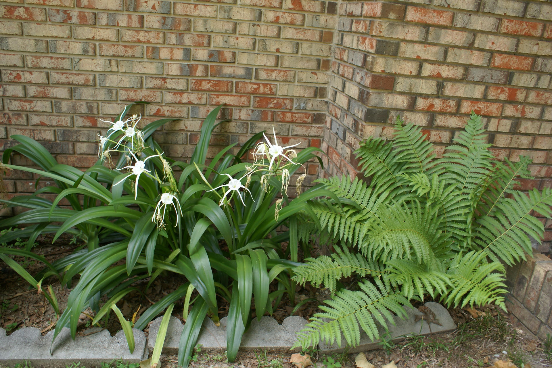 PORTER REPLAT OF 1ST ADDN - Residential