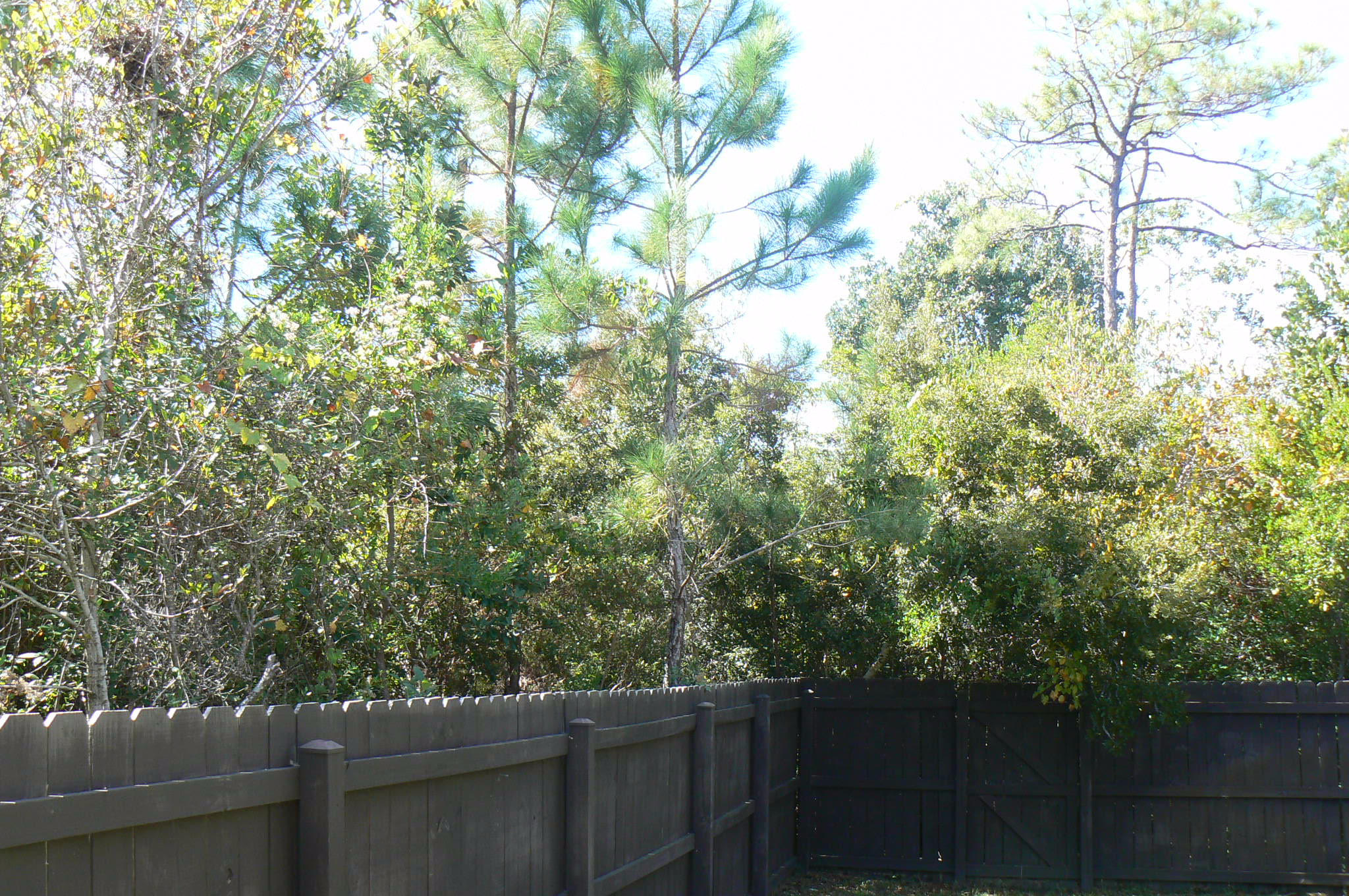 SOLIMAR - Residential