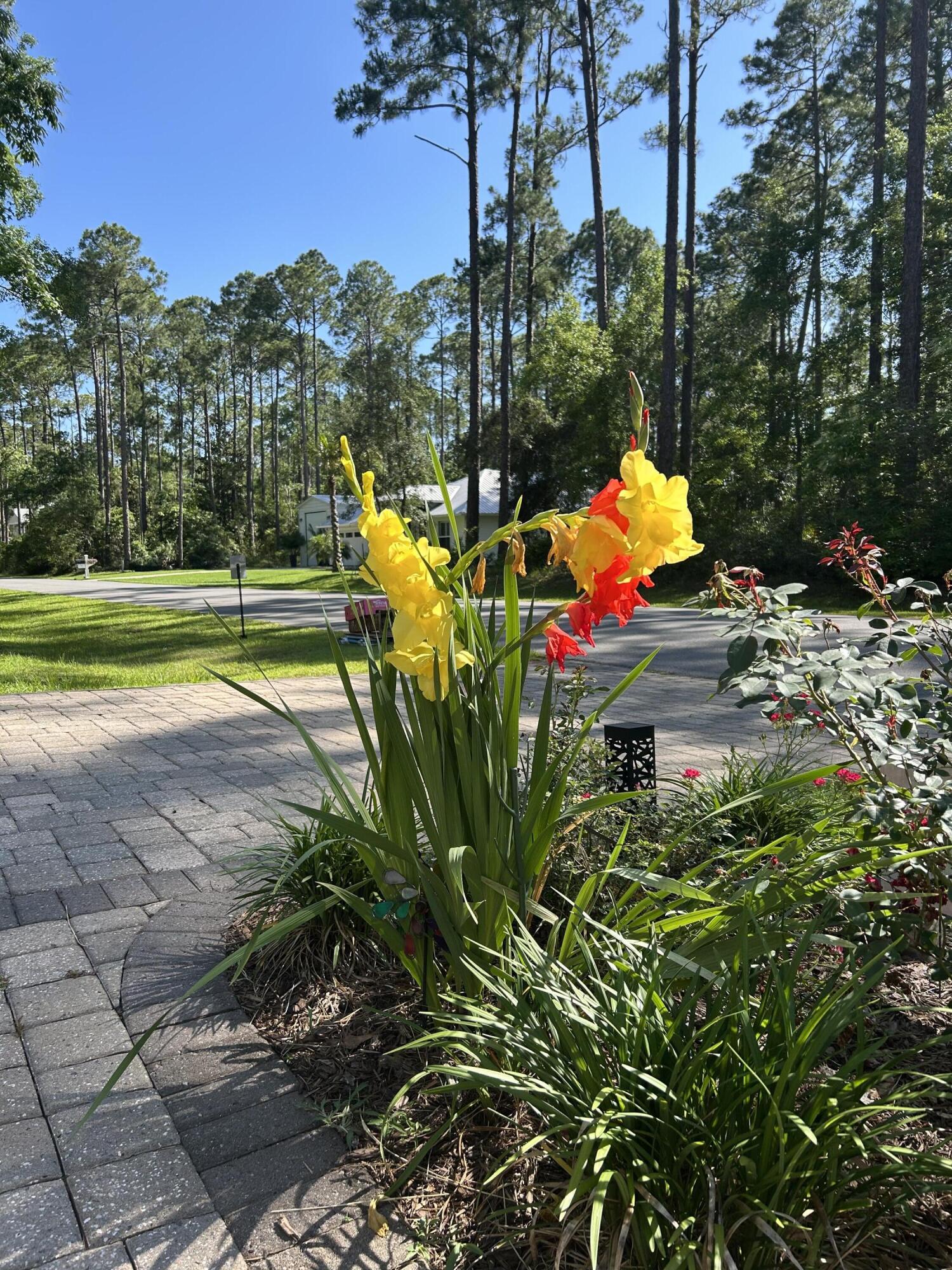 CROSS CREEK SHORES - Residential