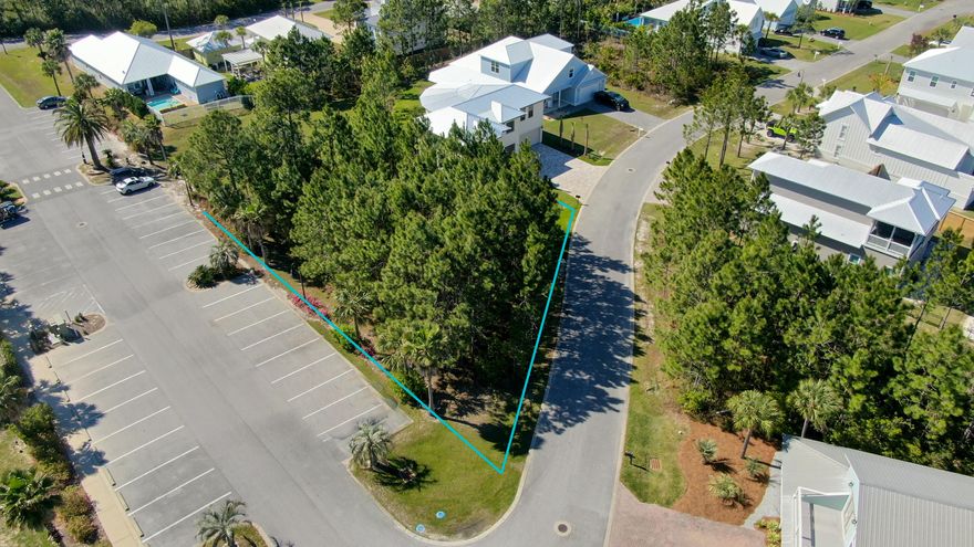 Build your dream home within walking distance to Ed Waline public beach access, Shunk Gulley, and Gulf Place!  The highly sought-after gated community of Cypress Breeze Plantation is home to one of the largest resort- style pools in Walton County with 13,000 sq ft of swimming space,  waterfalls plus a huge elevated deck for large gatherings.  Backing to the state forest, Cypress Breeze homeowners can enjoy plenty of hiking and biking trails just steps away from their front door! Tap fees have been paid.  Buyer to verify all information including lot dimensions.  Survey available.