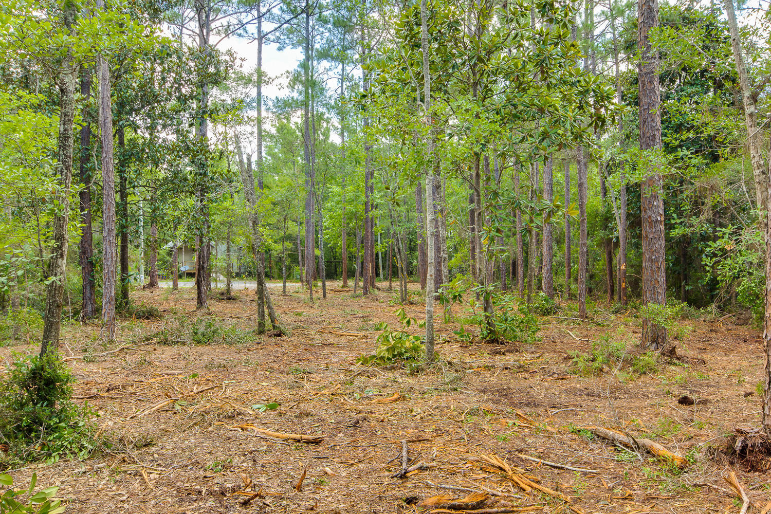 Very private location at the end of the street on a wooded lot. Actually it is two lots, lots 19&20 combined. The lot(s) have been brush cleared of under growth so it is easy to walk the lot and see the opportunity for your home site. The size, .344 acres is 100 wide and 150 deep which is large enough for a home, garage and shop/storage.