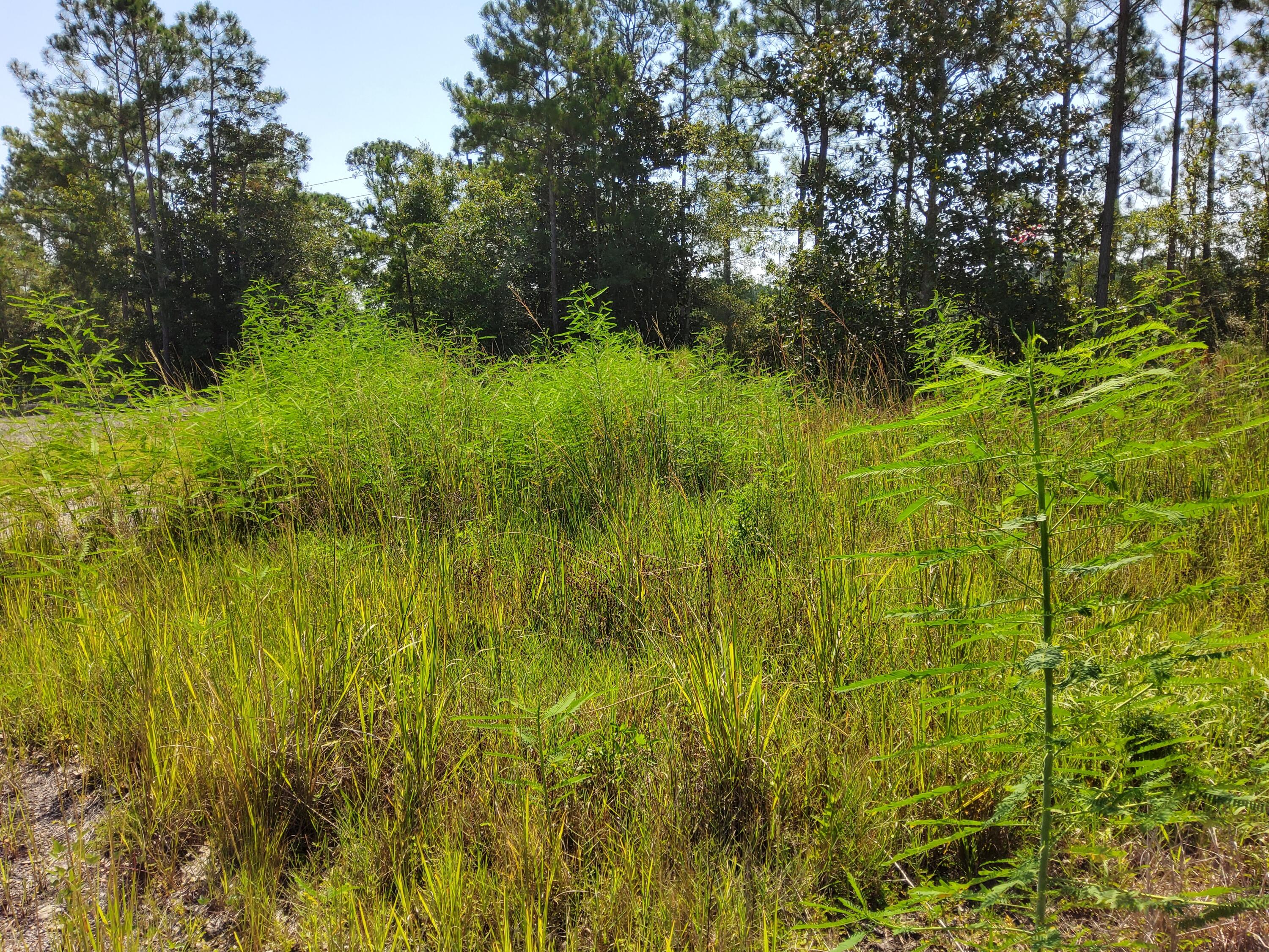 FREEPORT TOWN OF - Land