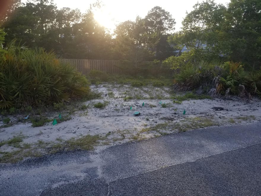 Here is a fantastic opportunity to own an easily buildable lot in the 'Brickyard'subdivision.This high and dry corner lot ,with possible gulf views, offers a beautifully quiet location while being a five minute walk to restaurants,bars, shopping, a bakery and more - not to mention the short stroll to two easily accessible public beach access areas each with parking for car or your golf cart.This charming subdivision has no homeowners association dues or buildout time and access is very convenient with 3 roads directly off of 30-A leading into it.Don't miss the chance to build the beach home of your dreams on the best priced lot this close to the beach and all that 30-A has to offer.