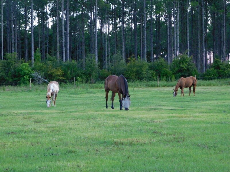 NORTH SUPERGROUP (221000.00) - Residential