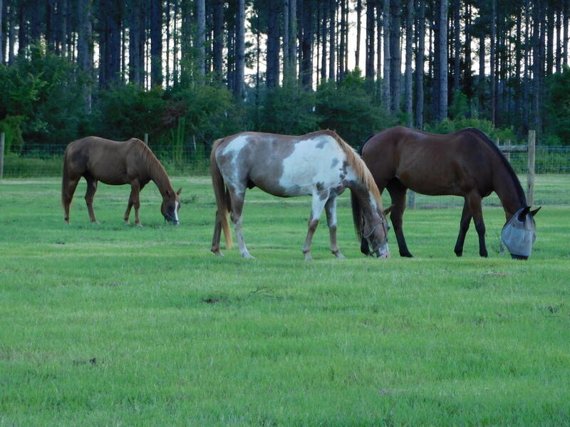 NORTH SUPERGROUP (221000.00) - Residential