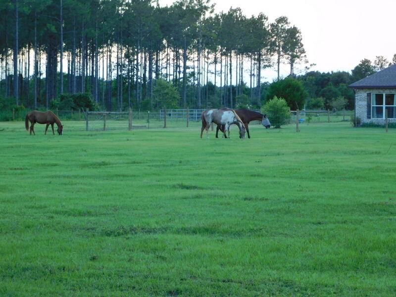 NORTH SUPERGROUP (221000.00) - Residential