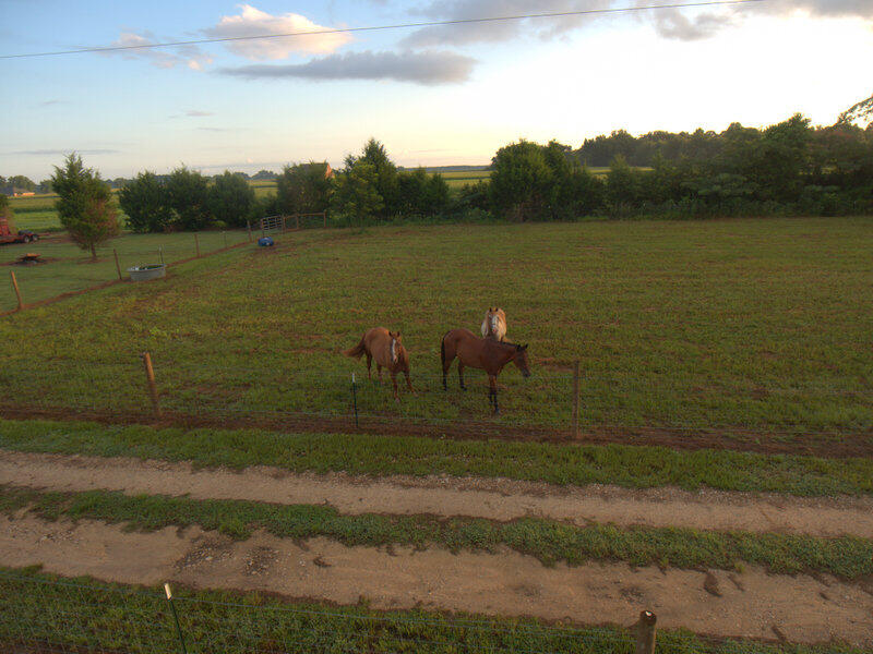 NORTH SUPERGROUP (221000.00) - Residential