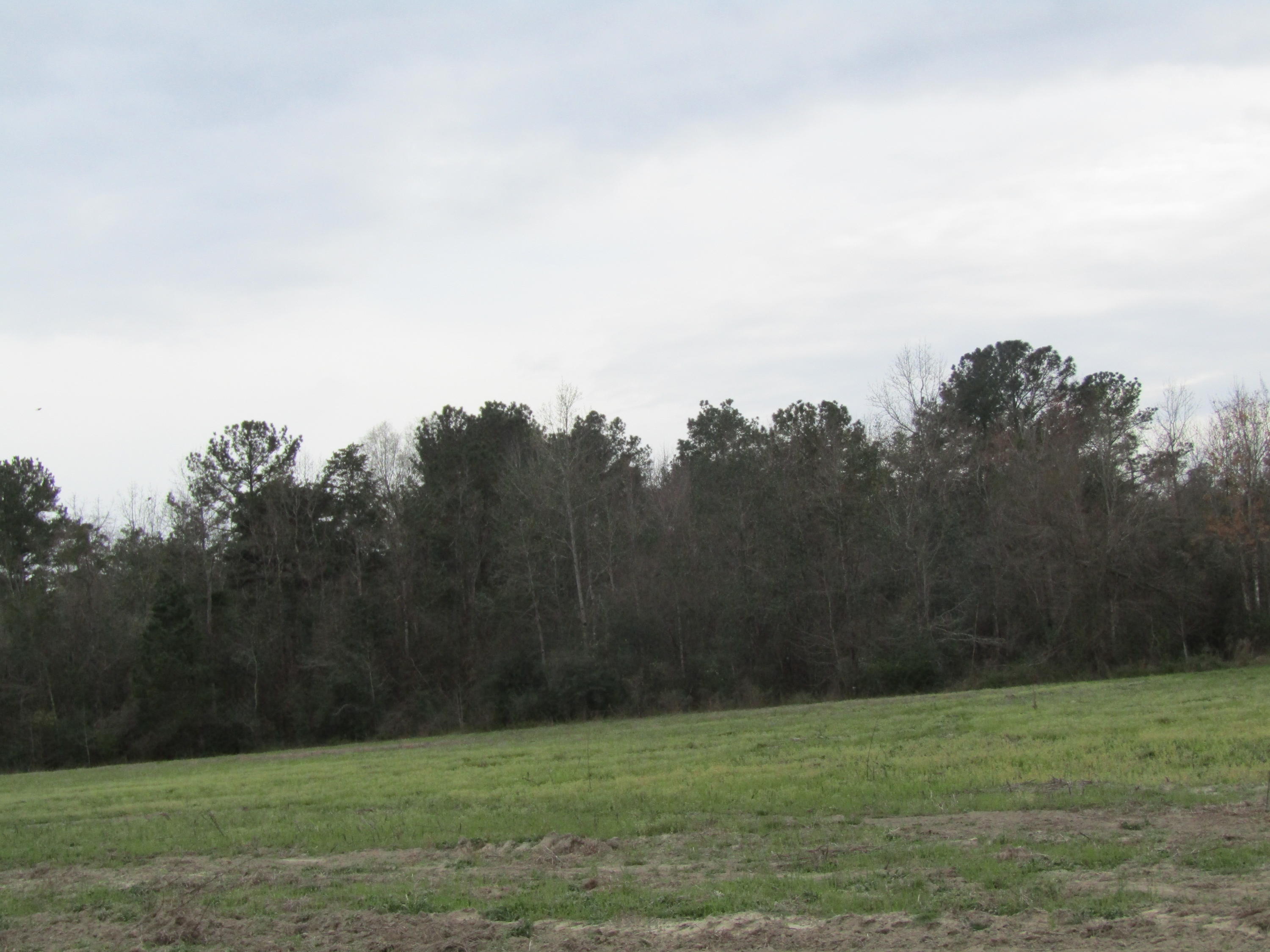 METES & BOUNDS - Farm