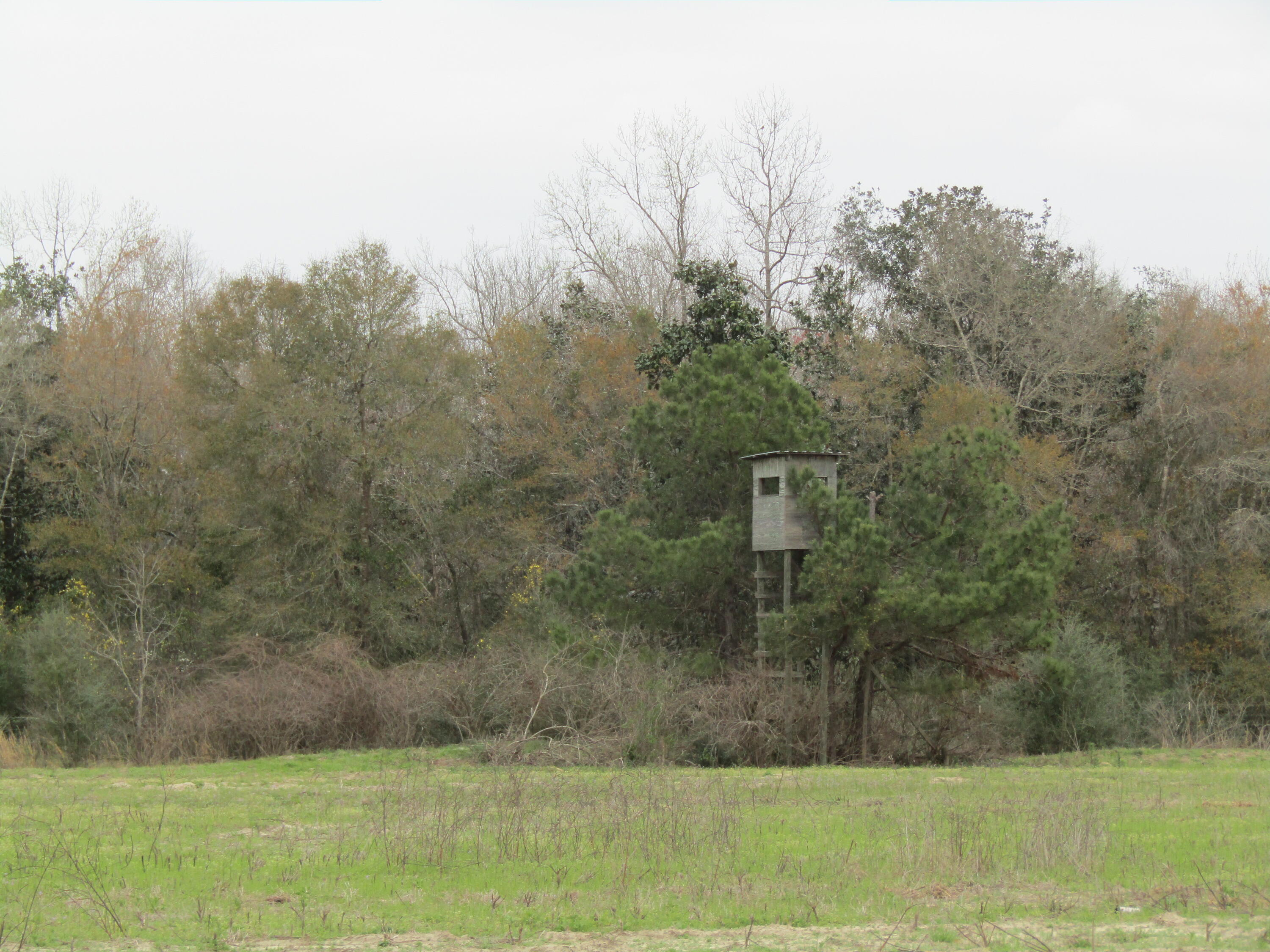 METES & BOUNDS - Farm