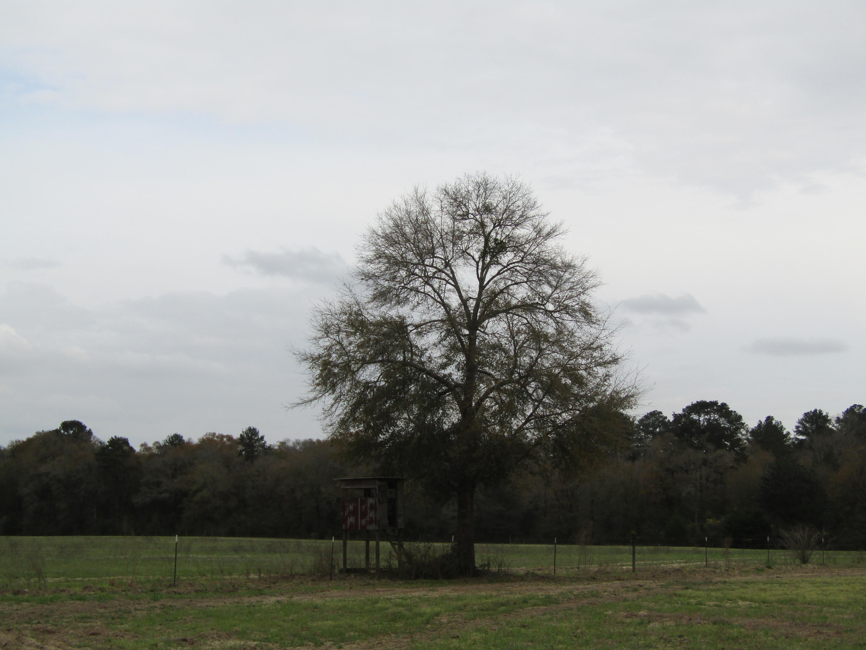 METES & BOUNDS - Farm