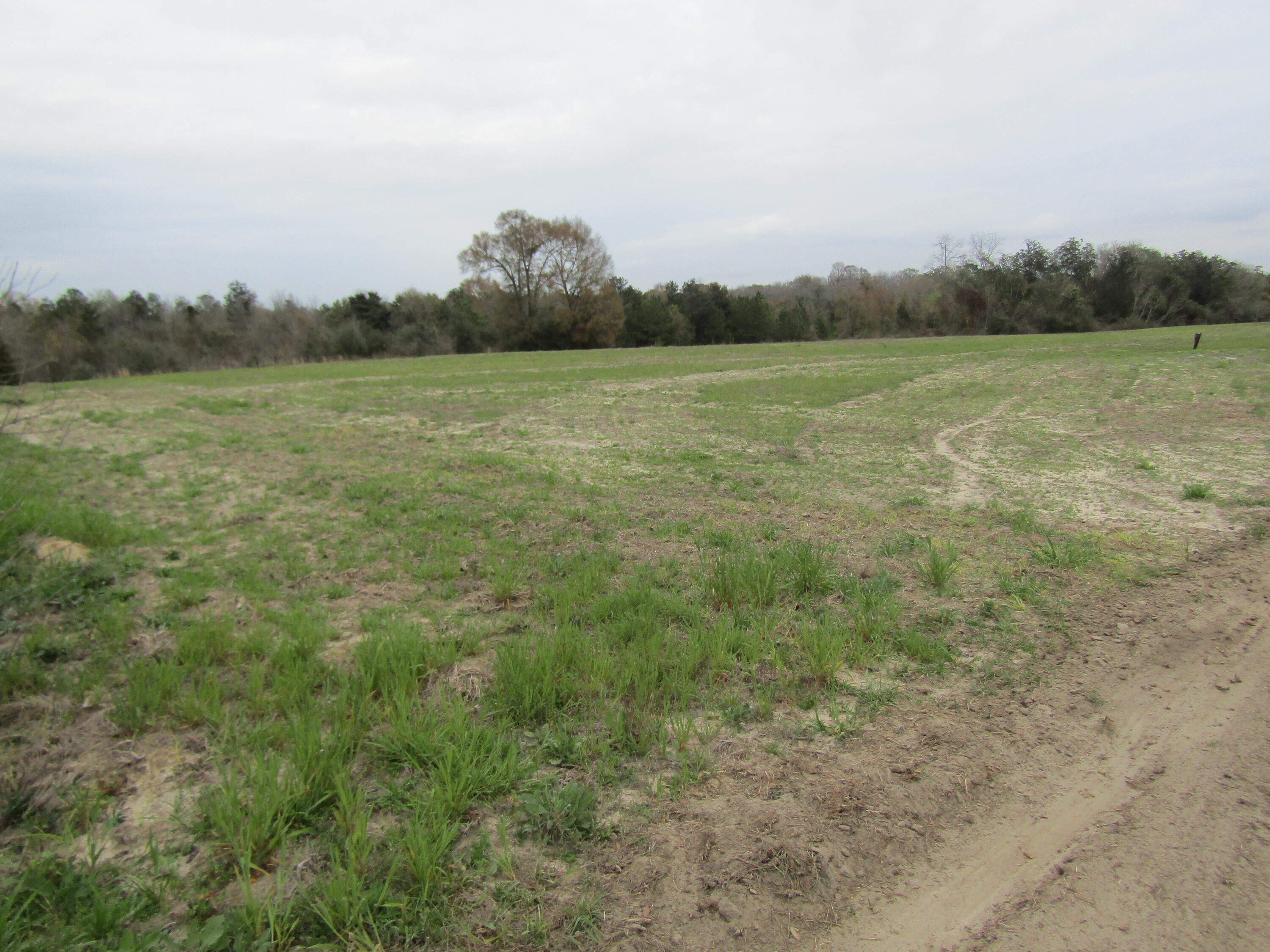 METES & BOUNDS - Farm