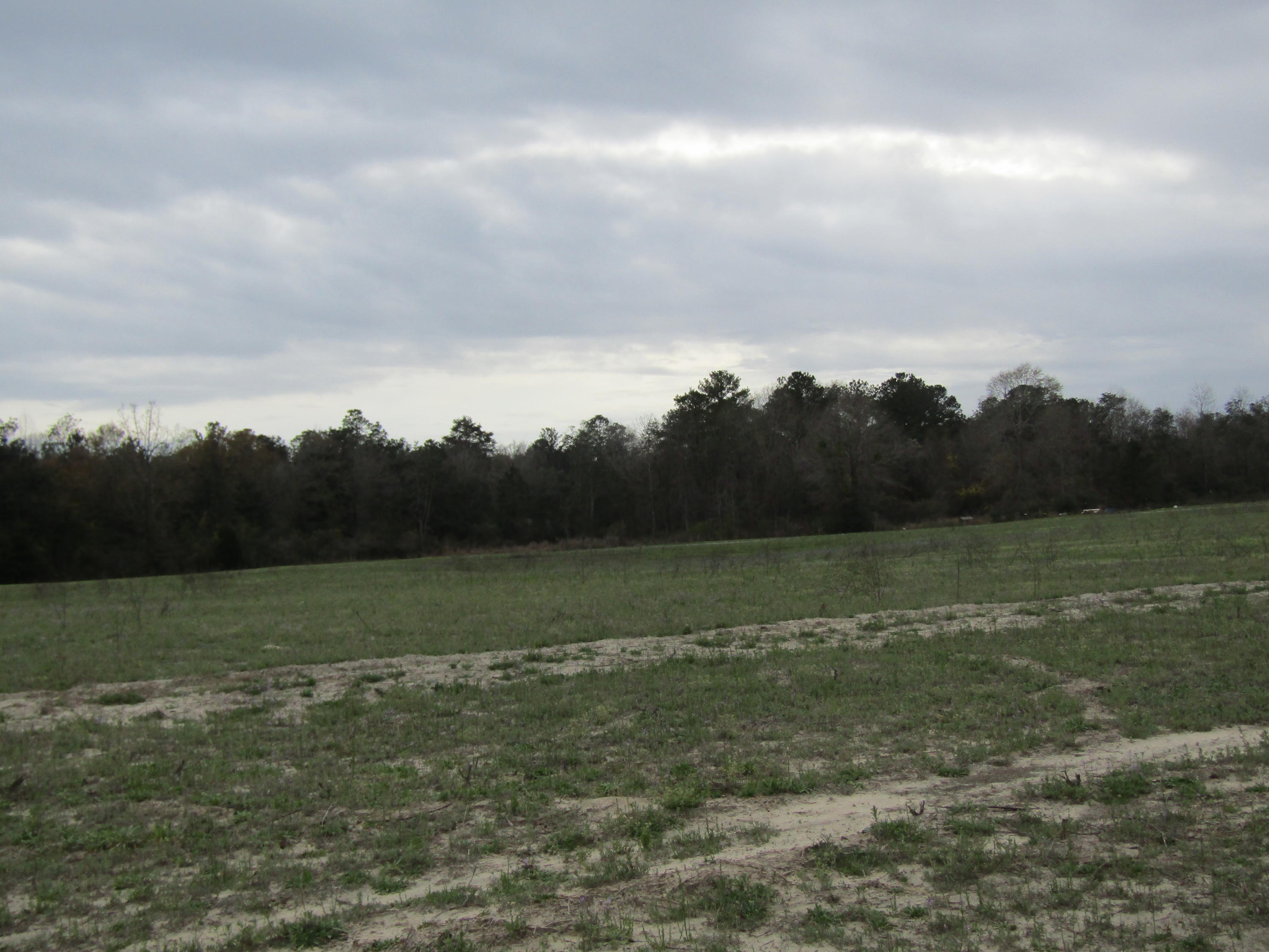 METES & BOUNDS - Farm