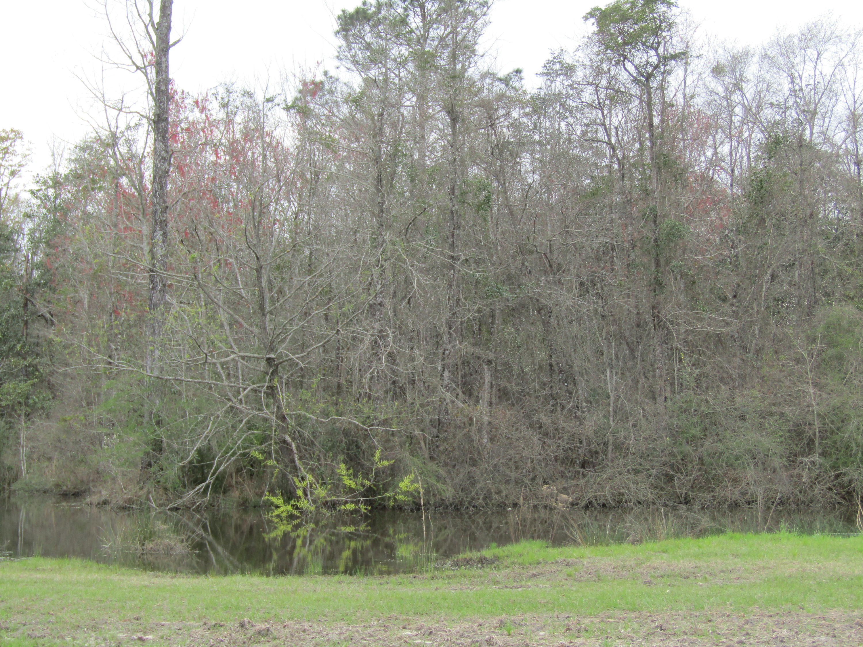 METES & BOUNDS - Farm