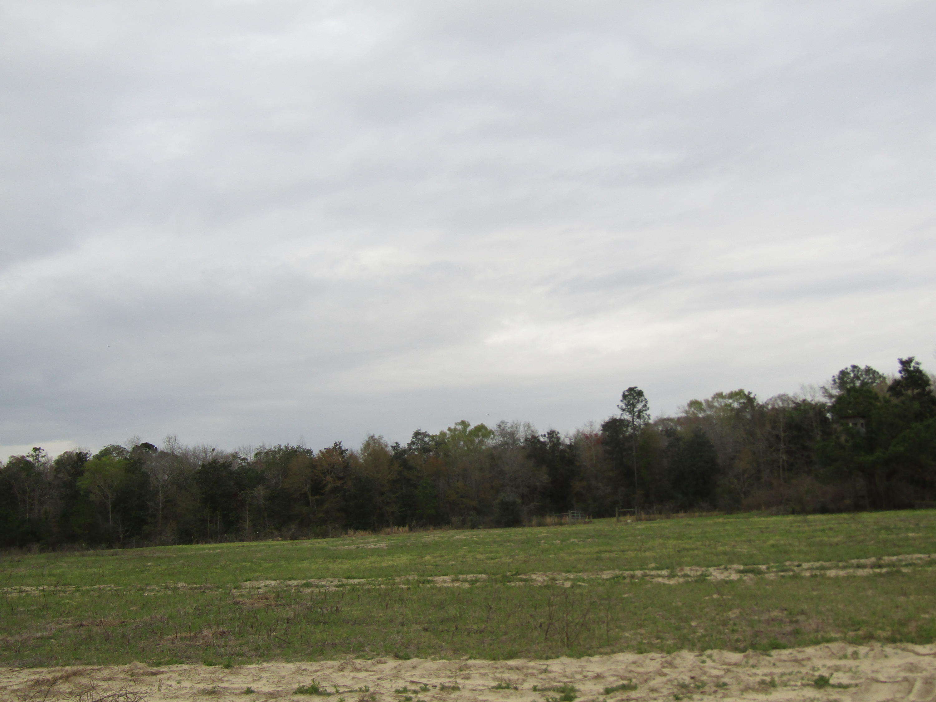 METES & BOUNDS - Farm