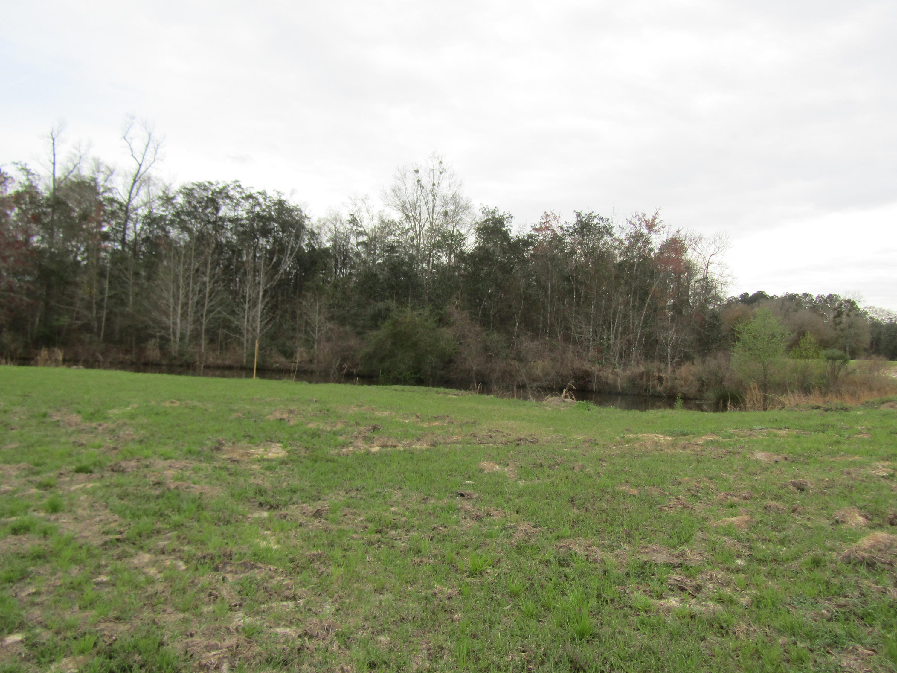 METES & BOUNDS - Farm