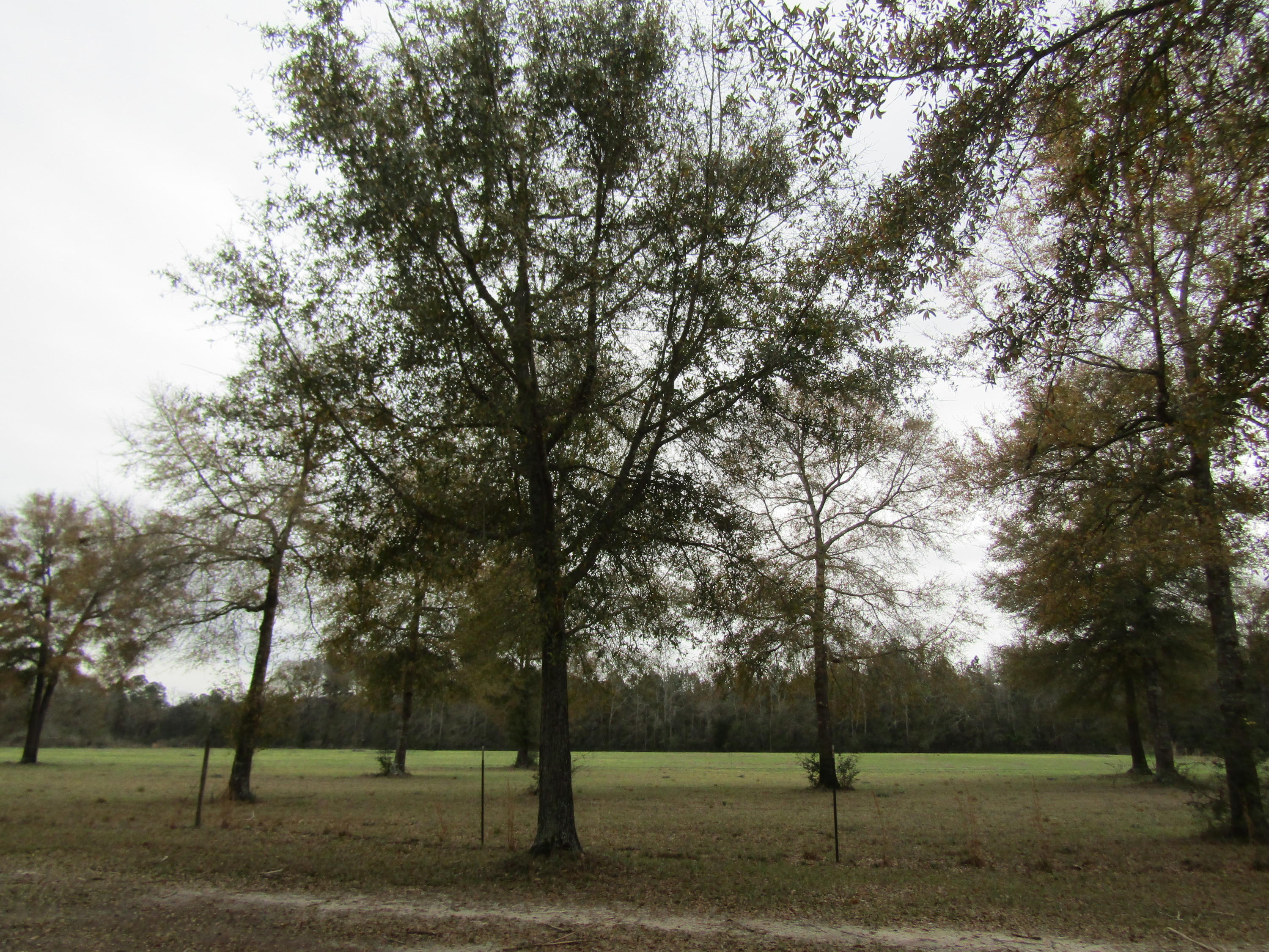 METES & BOUNDS - Farm