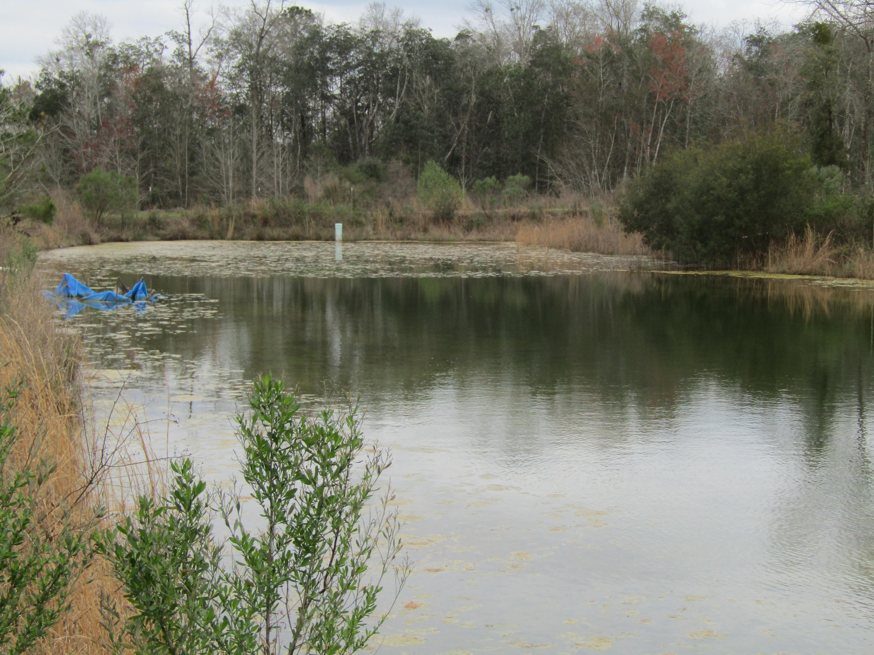 METES & BOUNDS - Farm