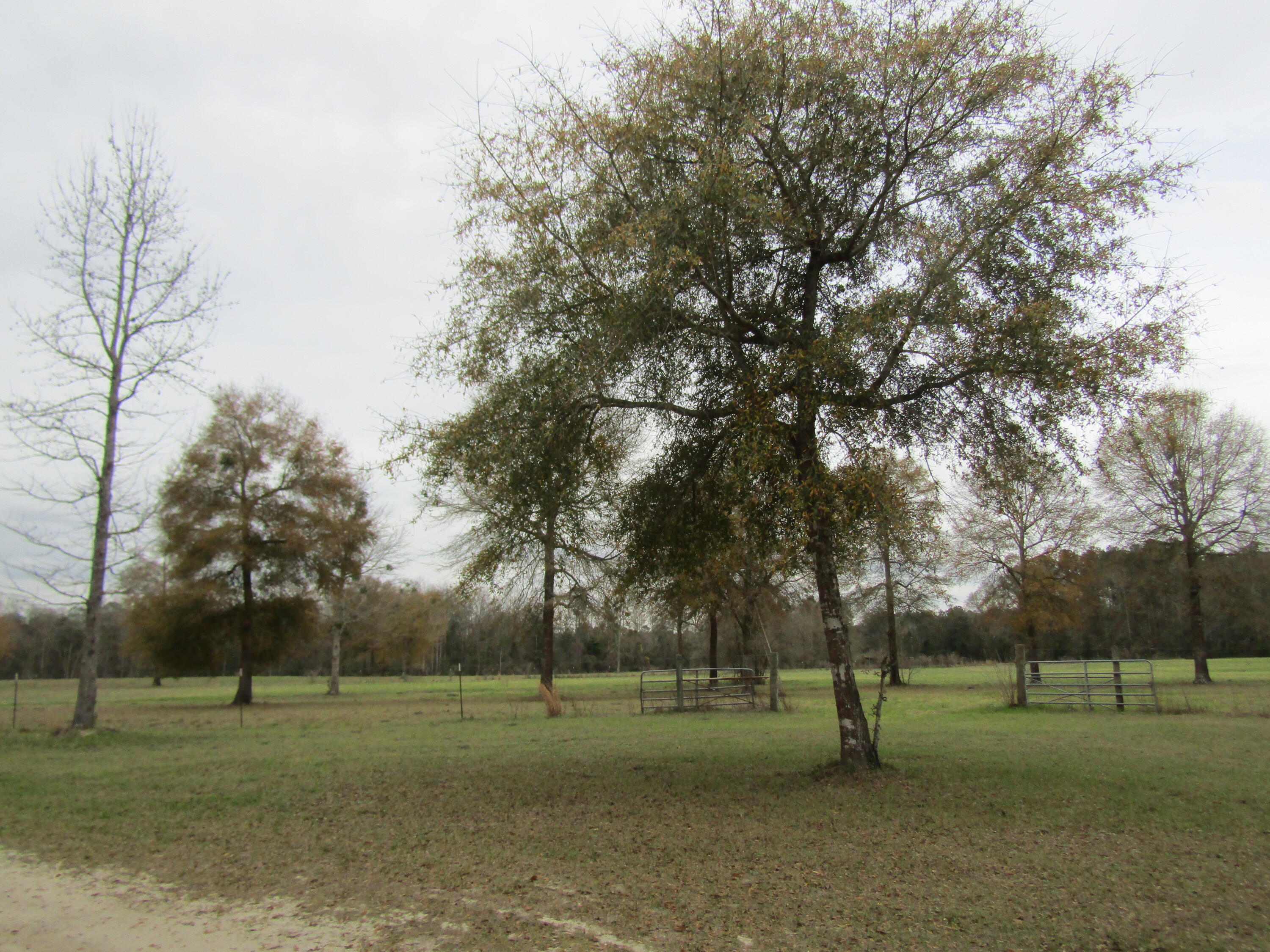 METES & BOUNDS - Farm