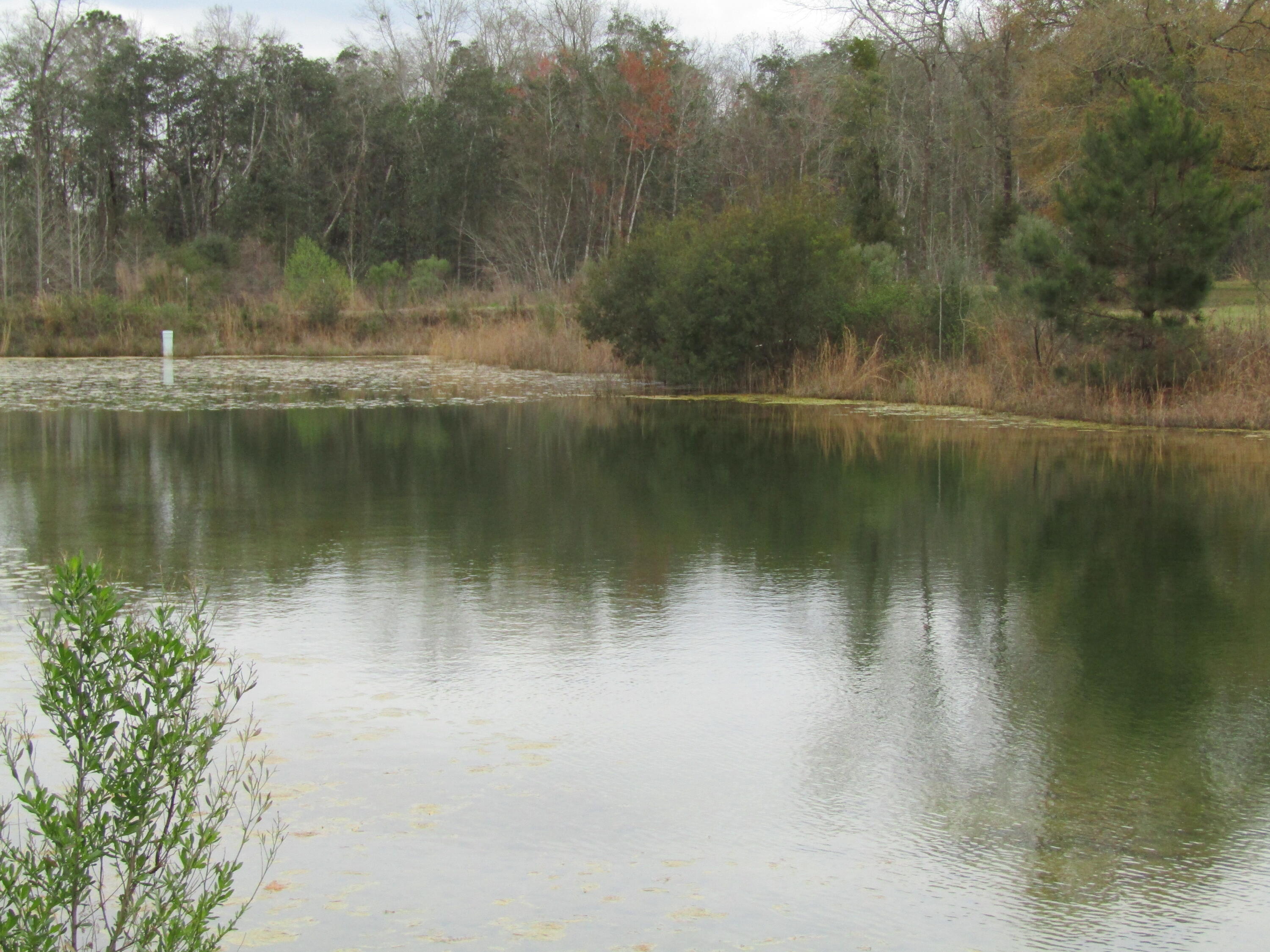 METES & BOUNDS - Farm