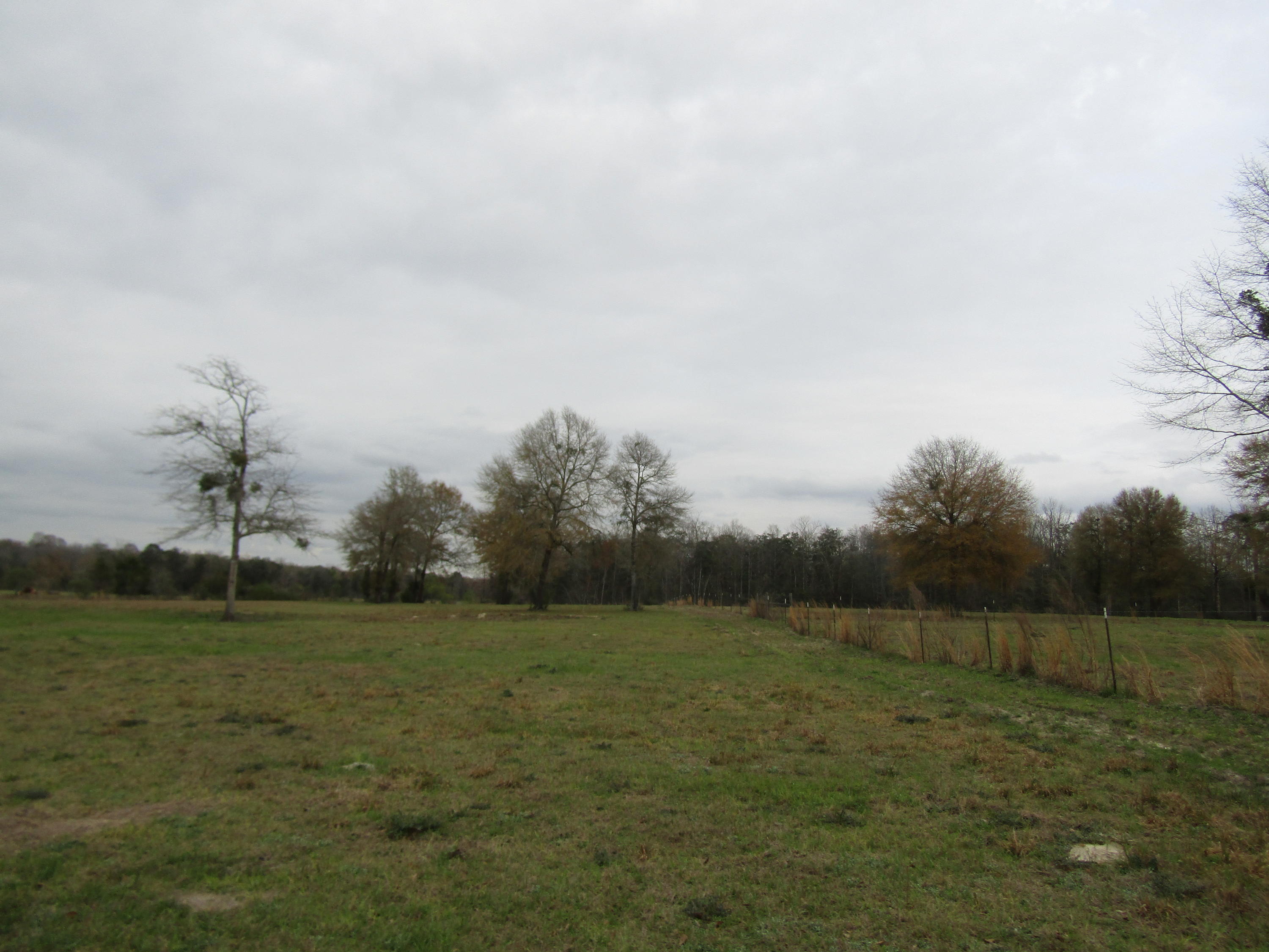 METES & BOUNDS - Farm